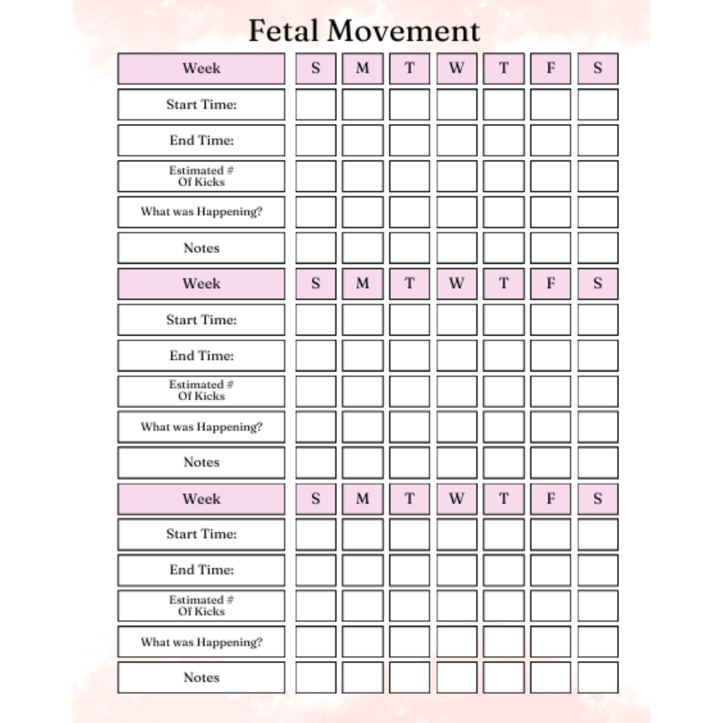 My Pregnancy Journal Bundle