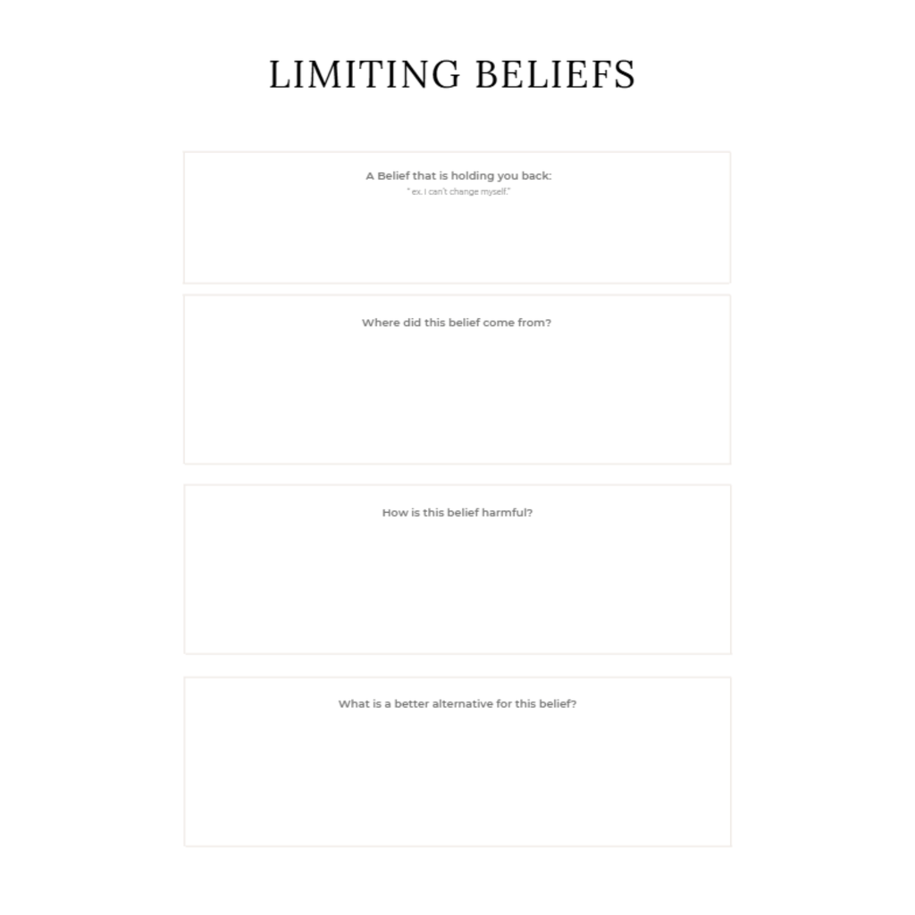 Abundance Journal Bundle