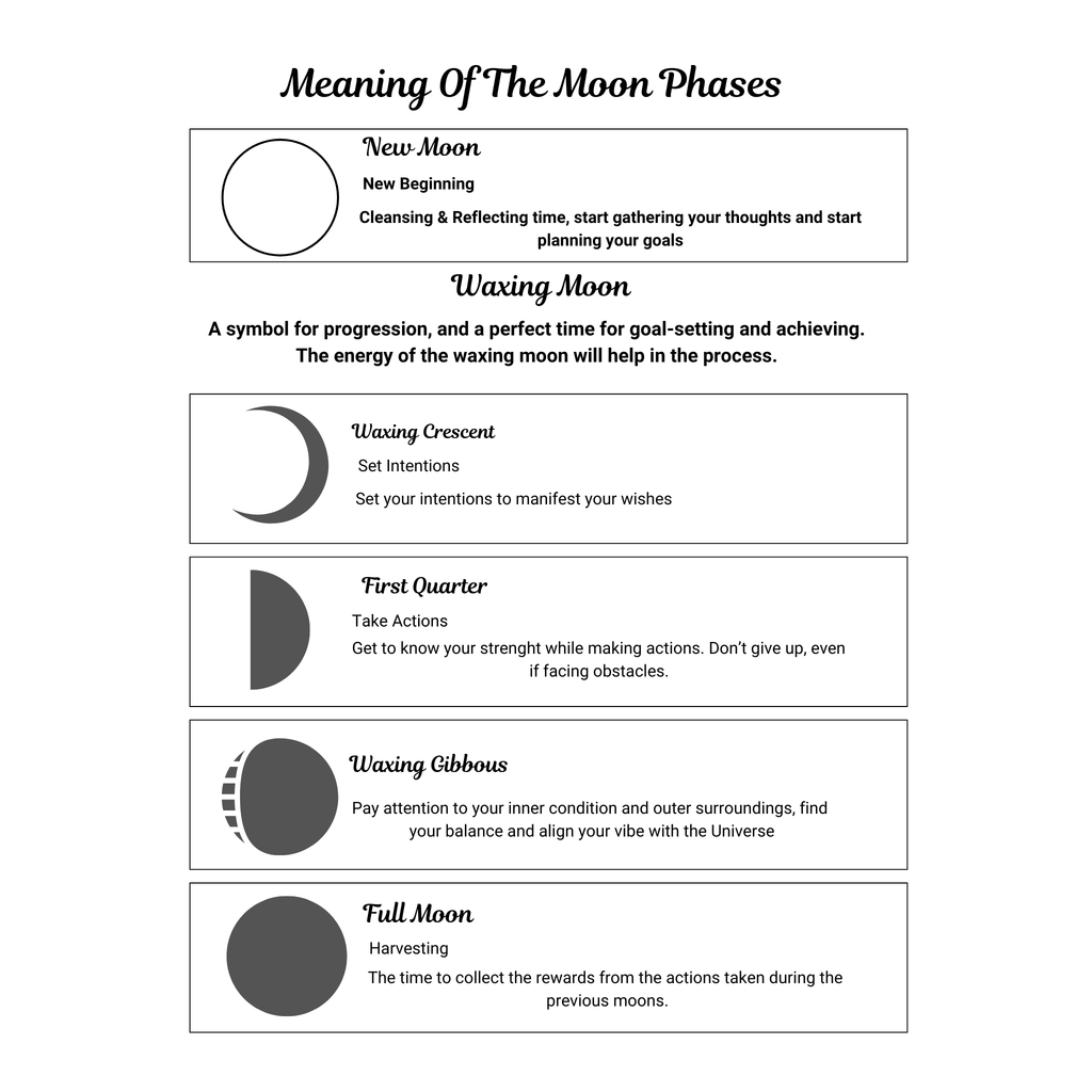 Moon and Astrology Planner Bundle