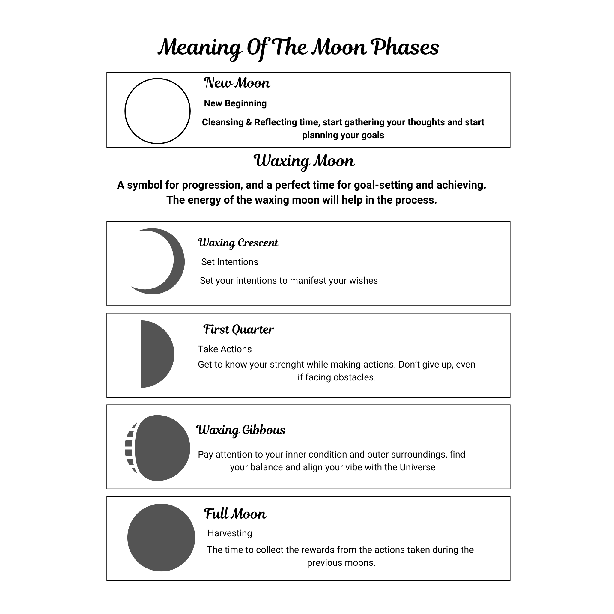 Moon and Astrology Planner Bundle