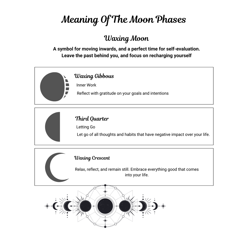Moon & Astrology Planner Bundle