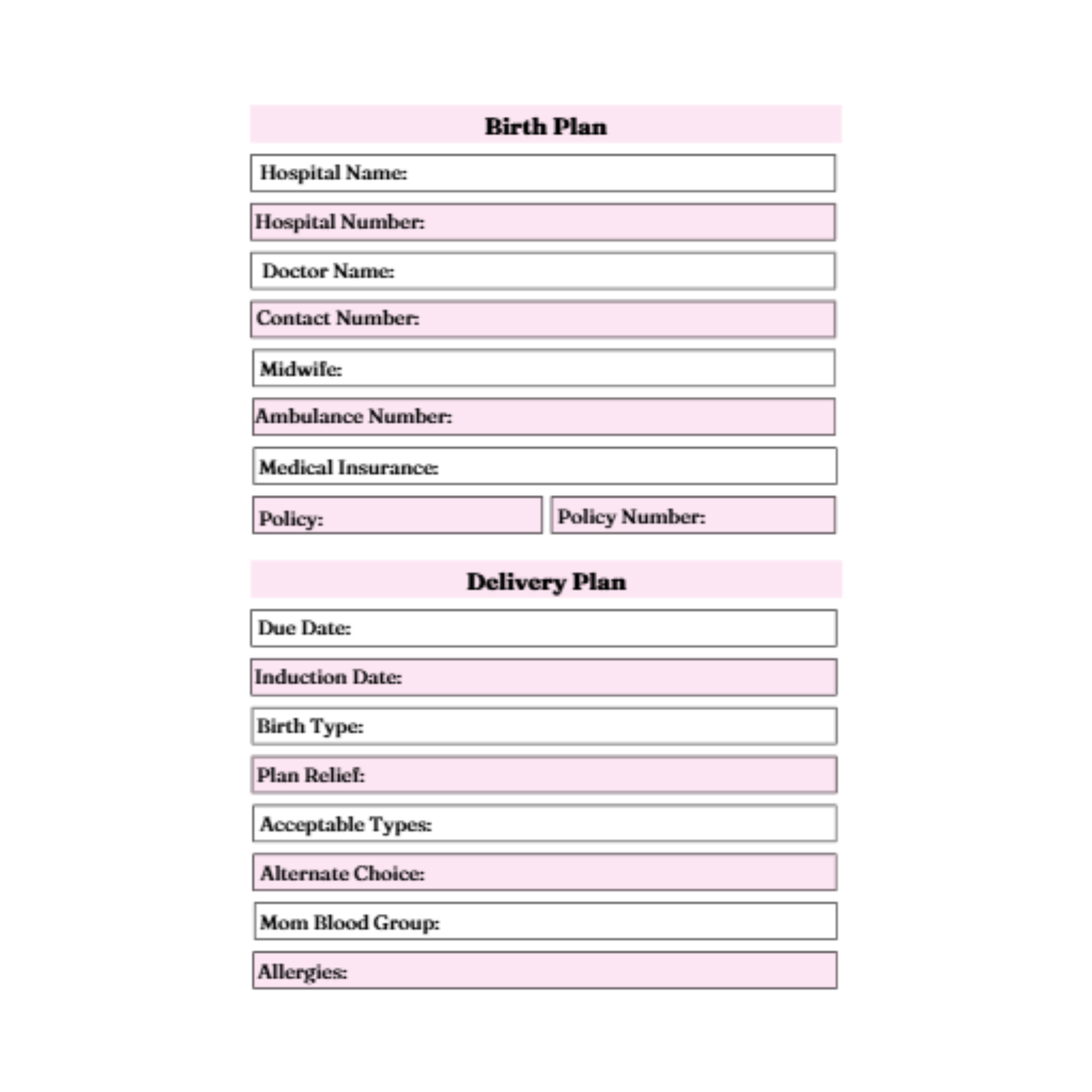 40 Weeks Pregnancy Journal Bundle