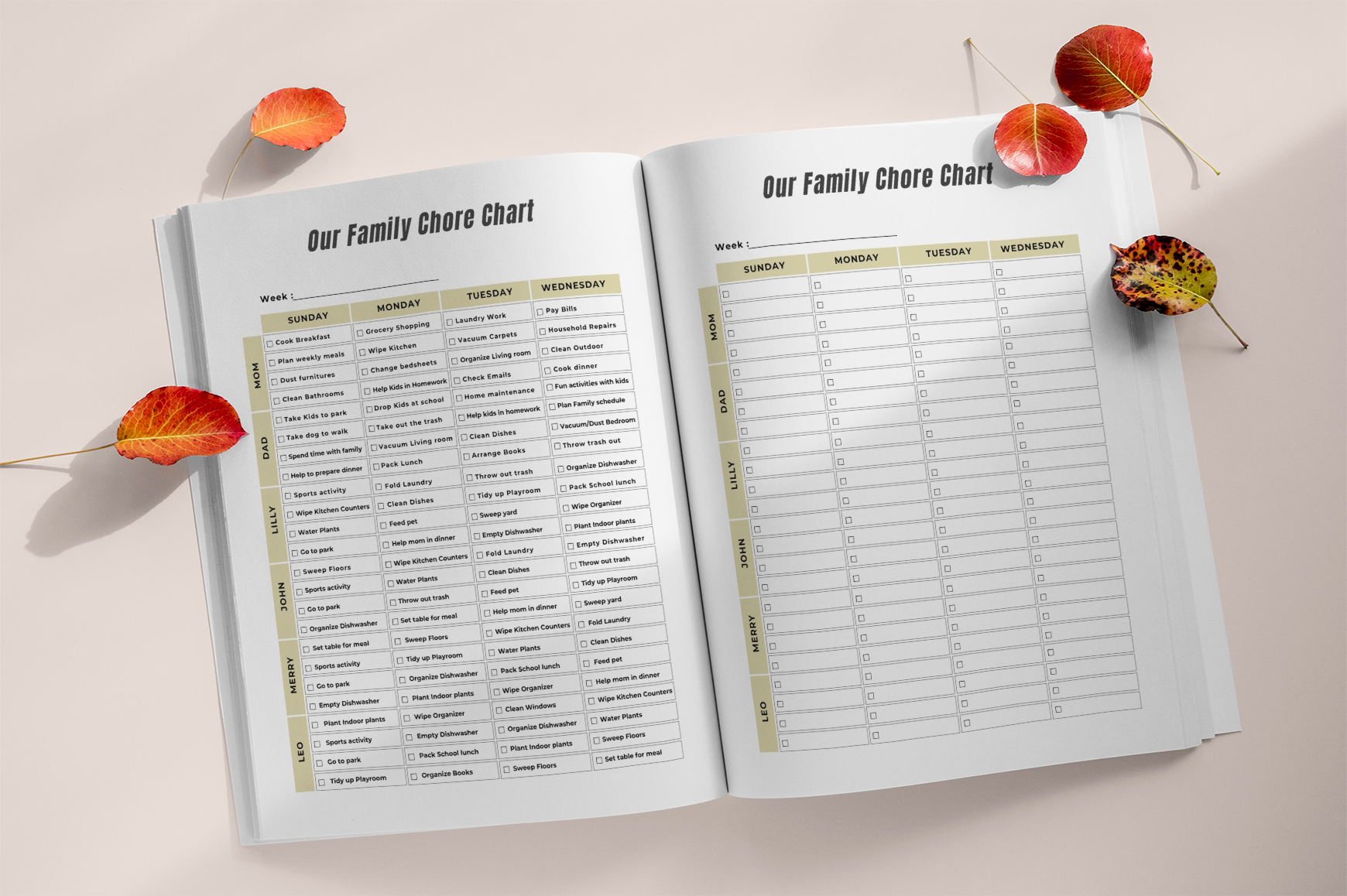 Family Routine Planning Workbook