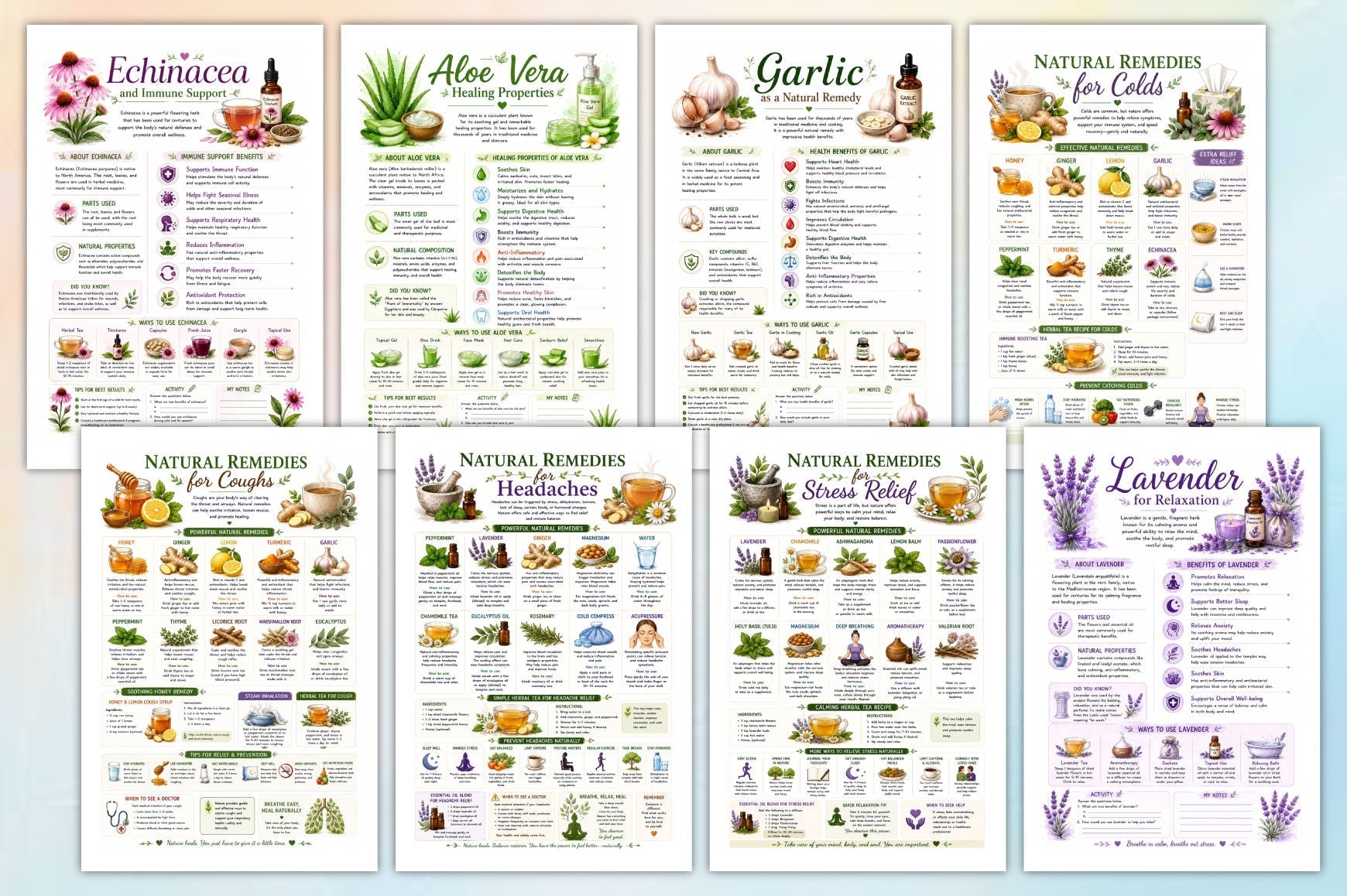 Natural Remedies Educational Workbook