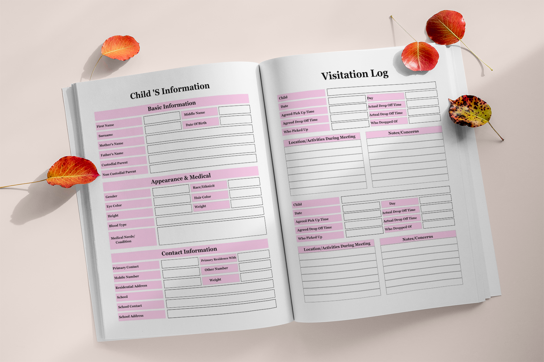 Family Court Binder Guide
