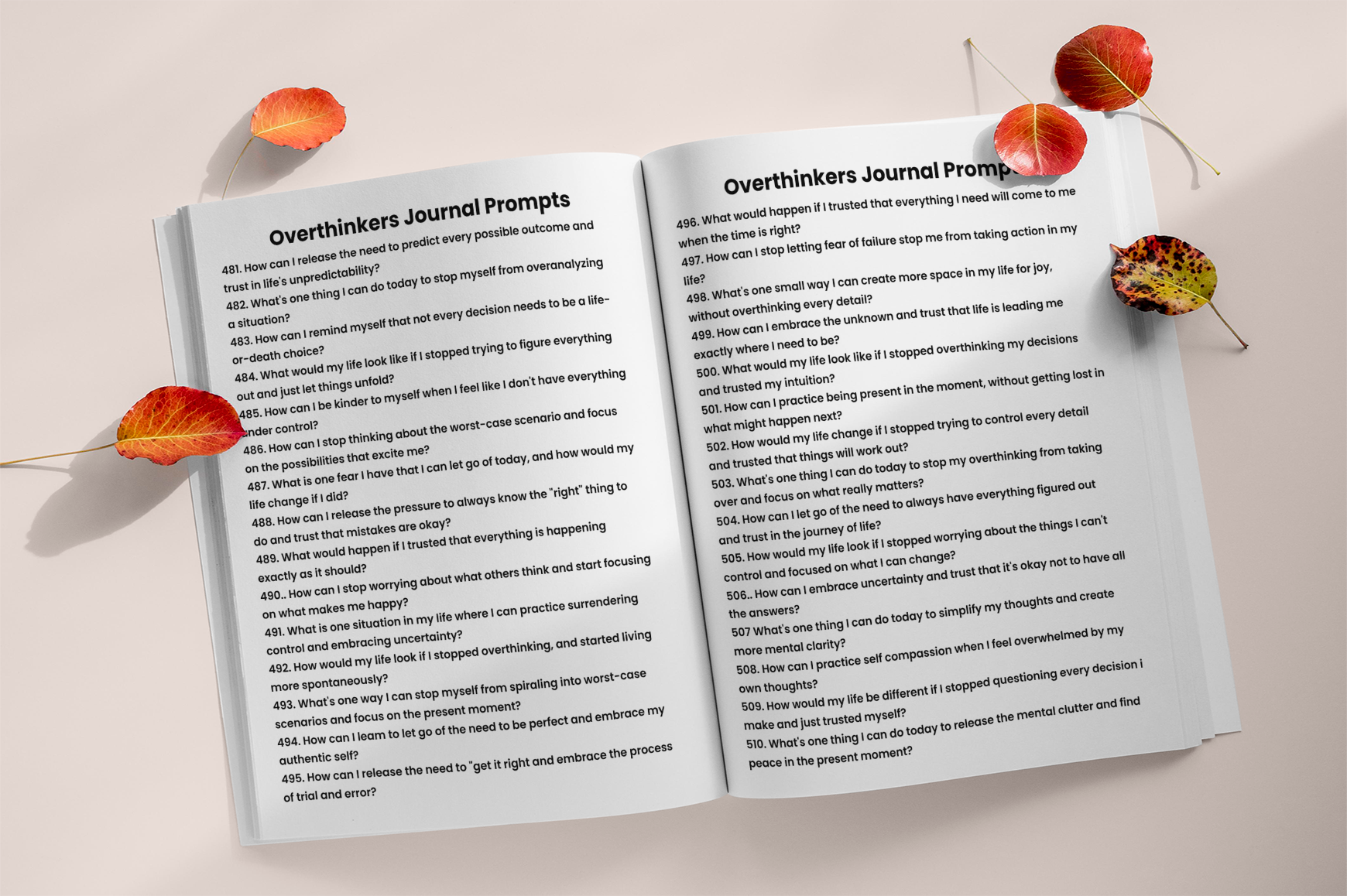 For Overthinking Minds Prompts