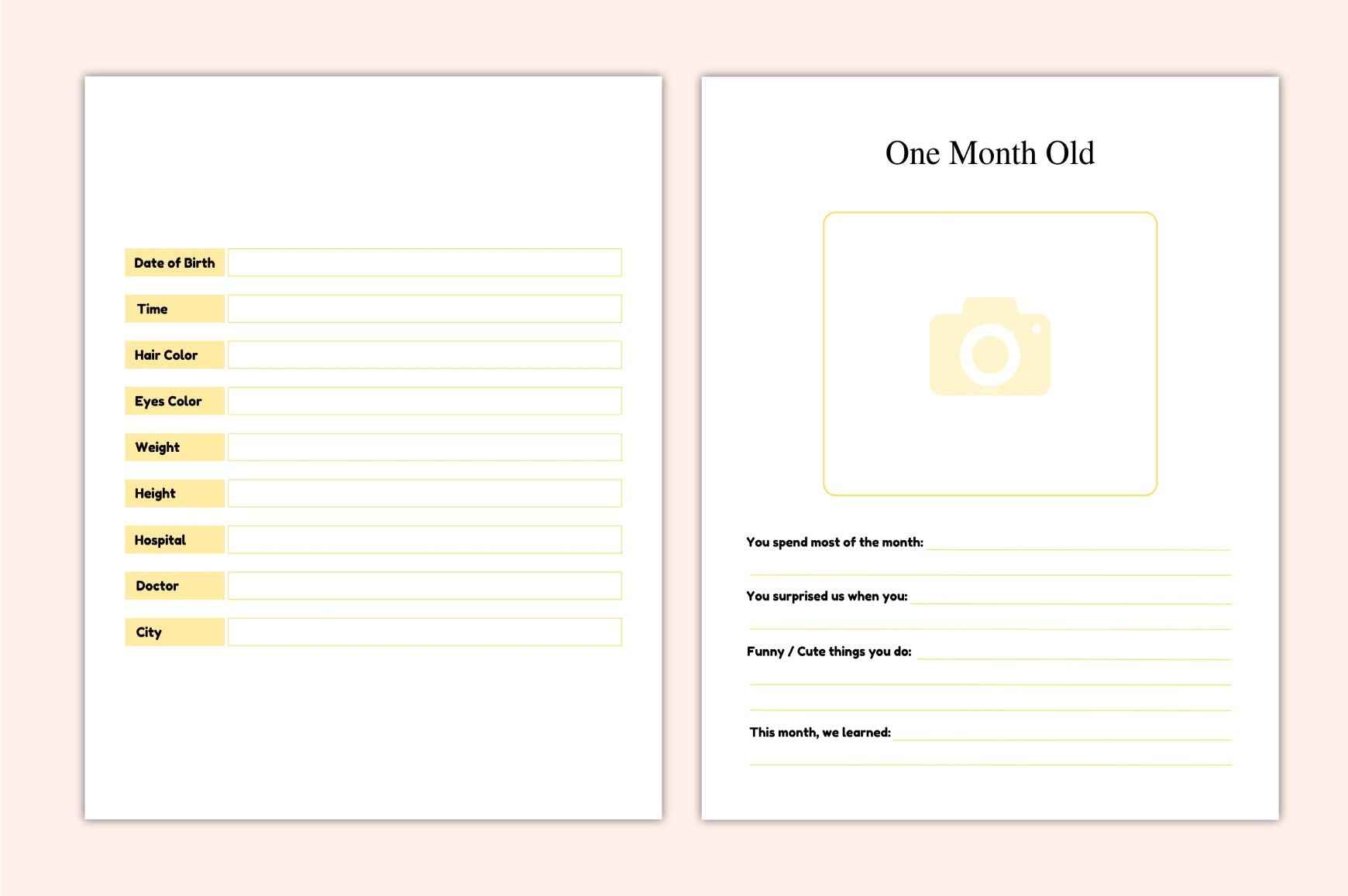 Precious Baby Memories Planner