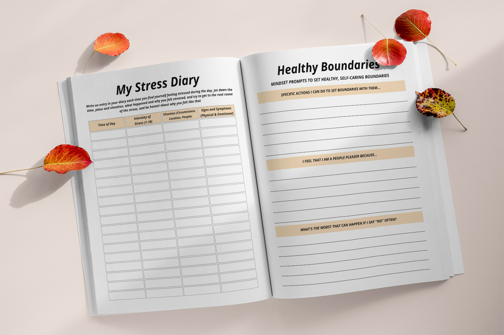 Life Goals Personal Growth Coaching Planner