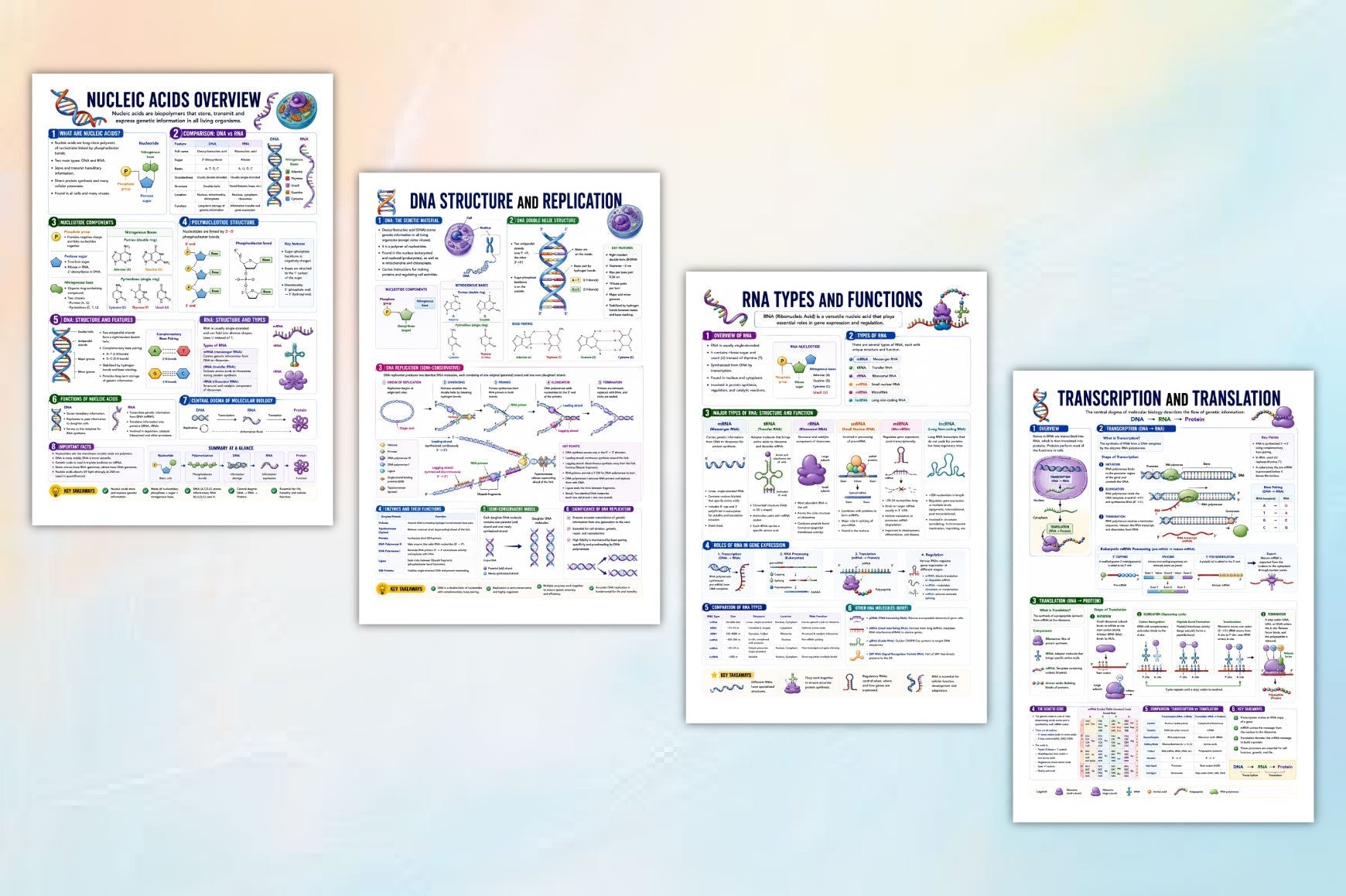 Biochemistry Study Notes Review Guide