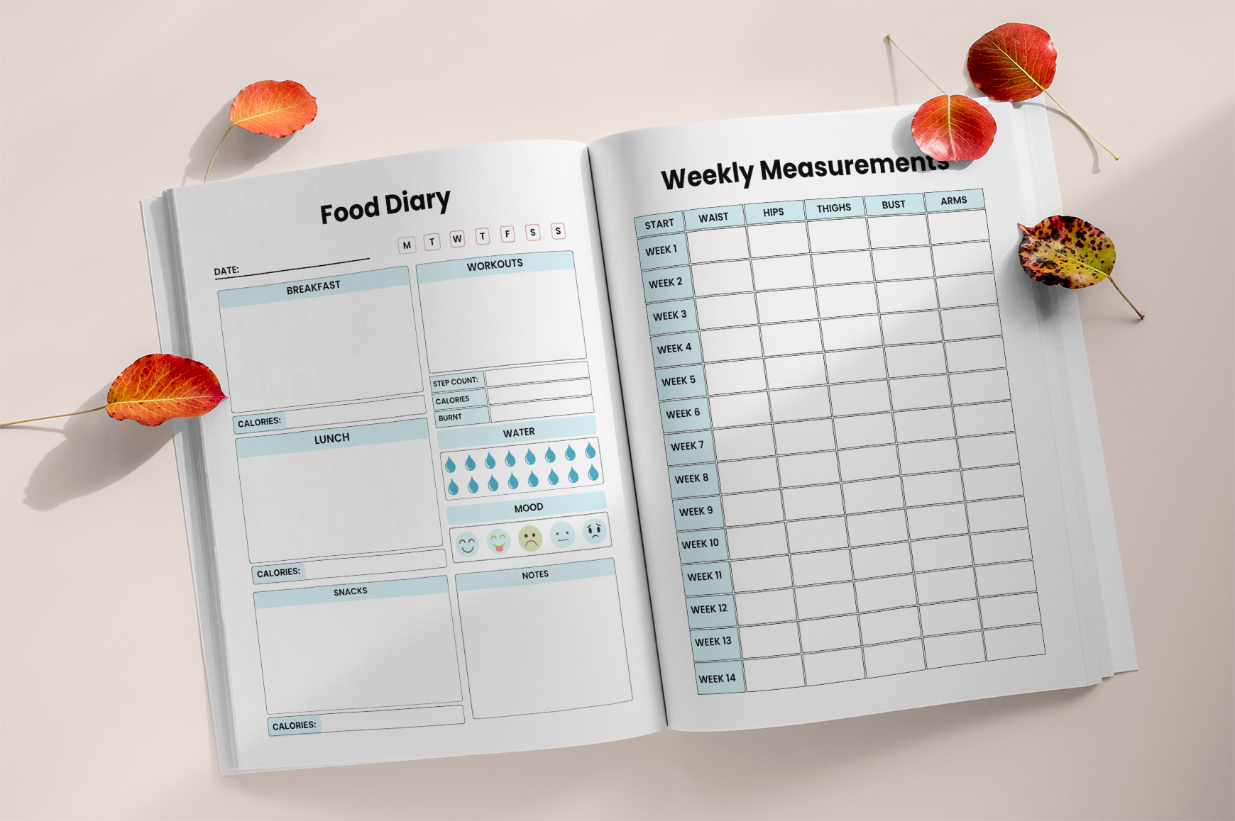 Body Transformation Workbook