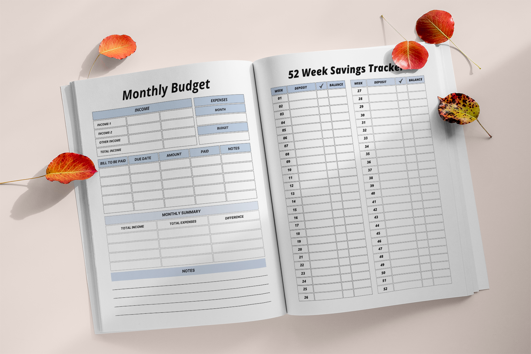 Household Chores Expense Planner