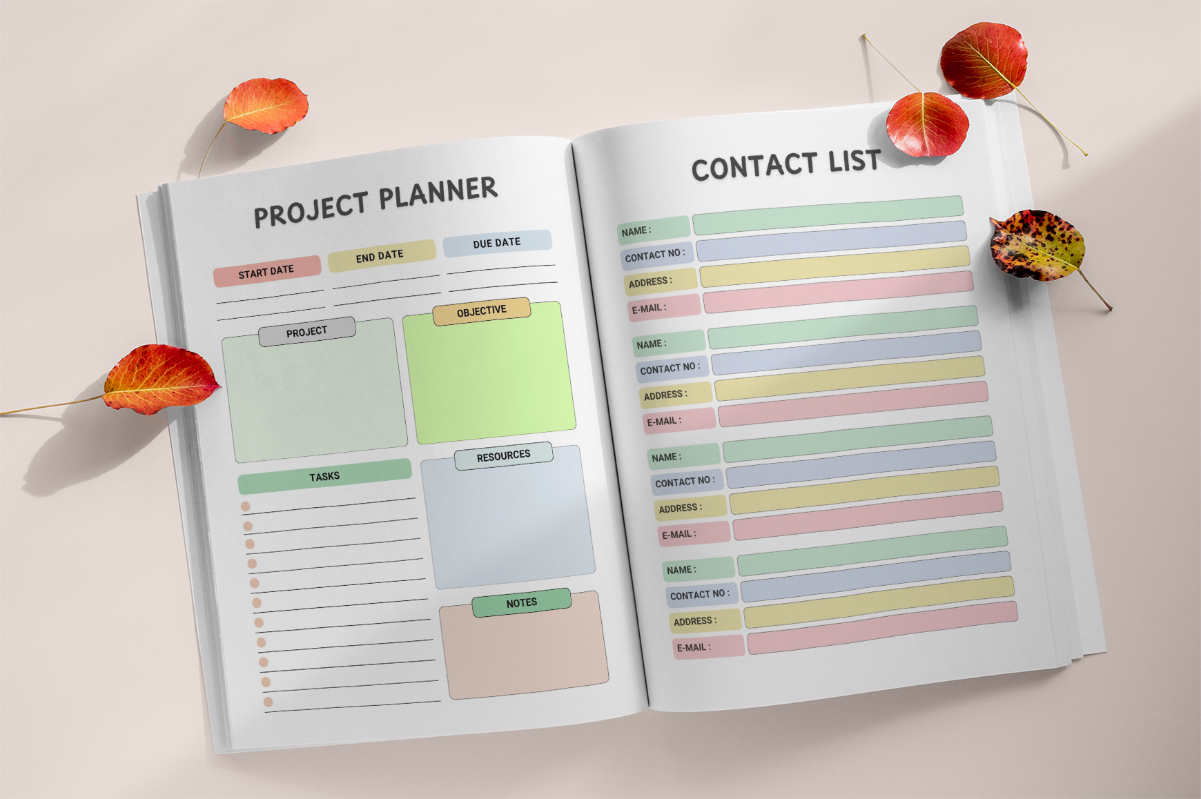 Student School Routine Study Planner for Kids