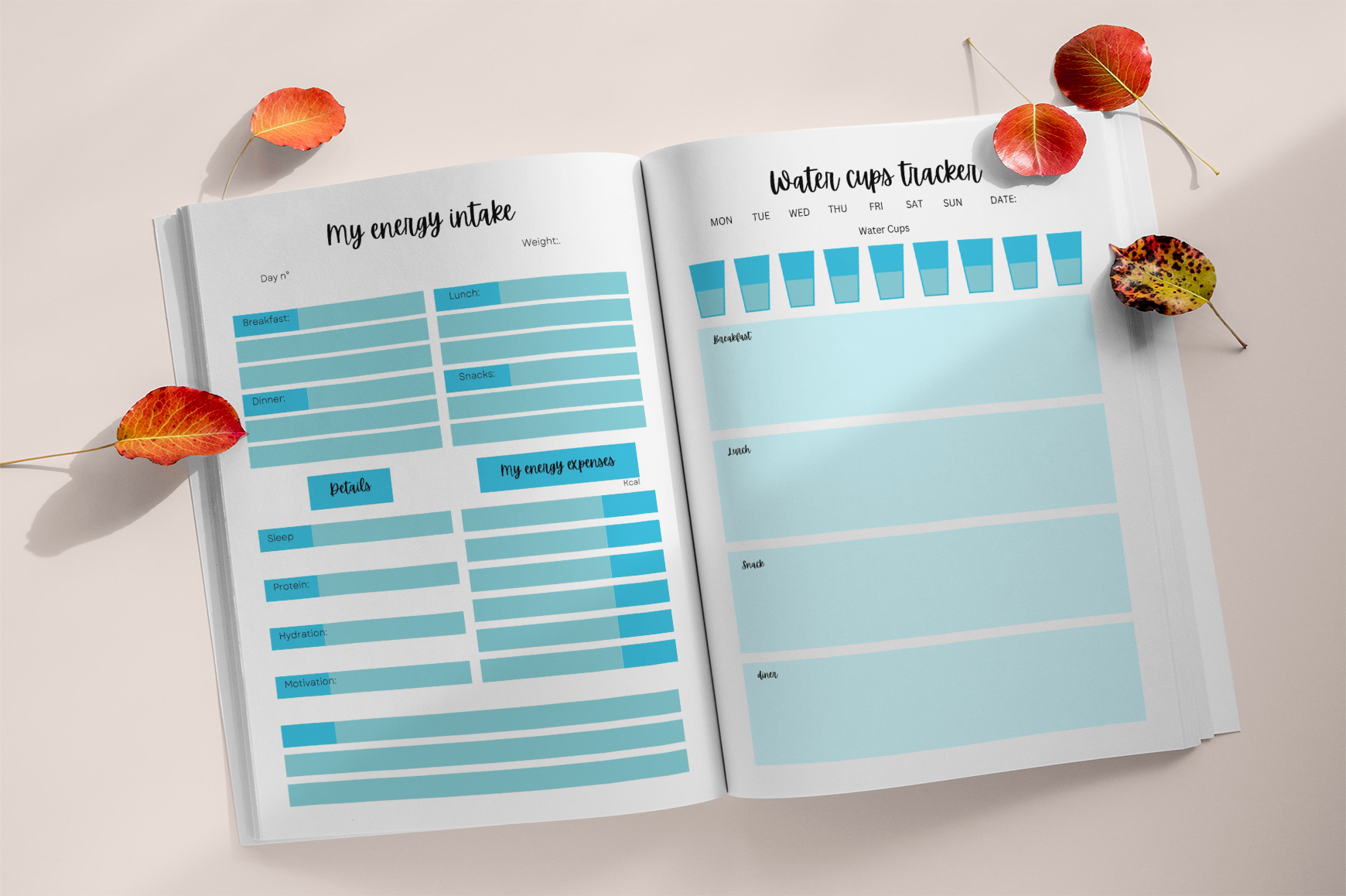 Daily Fitness Progress Calorie Planner