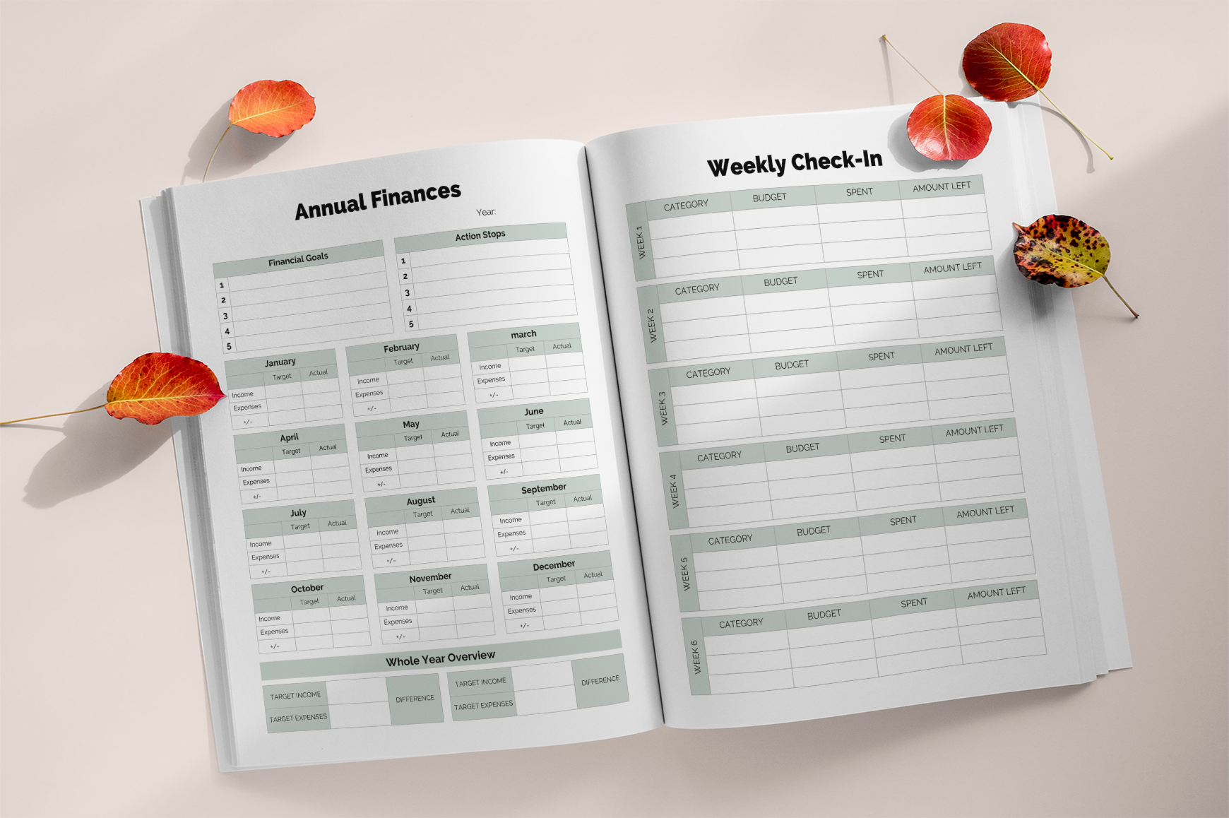 Financial Freedom Debt Payoff Planner