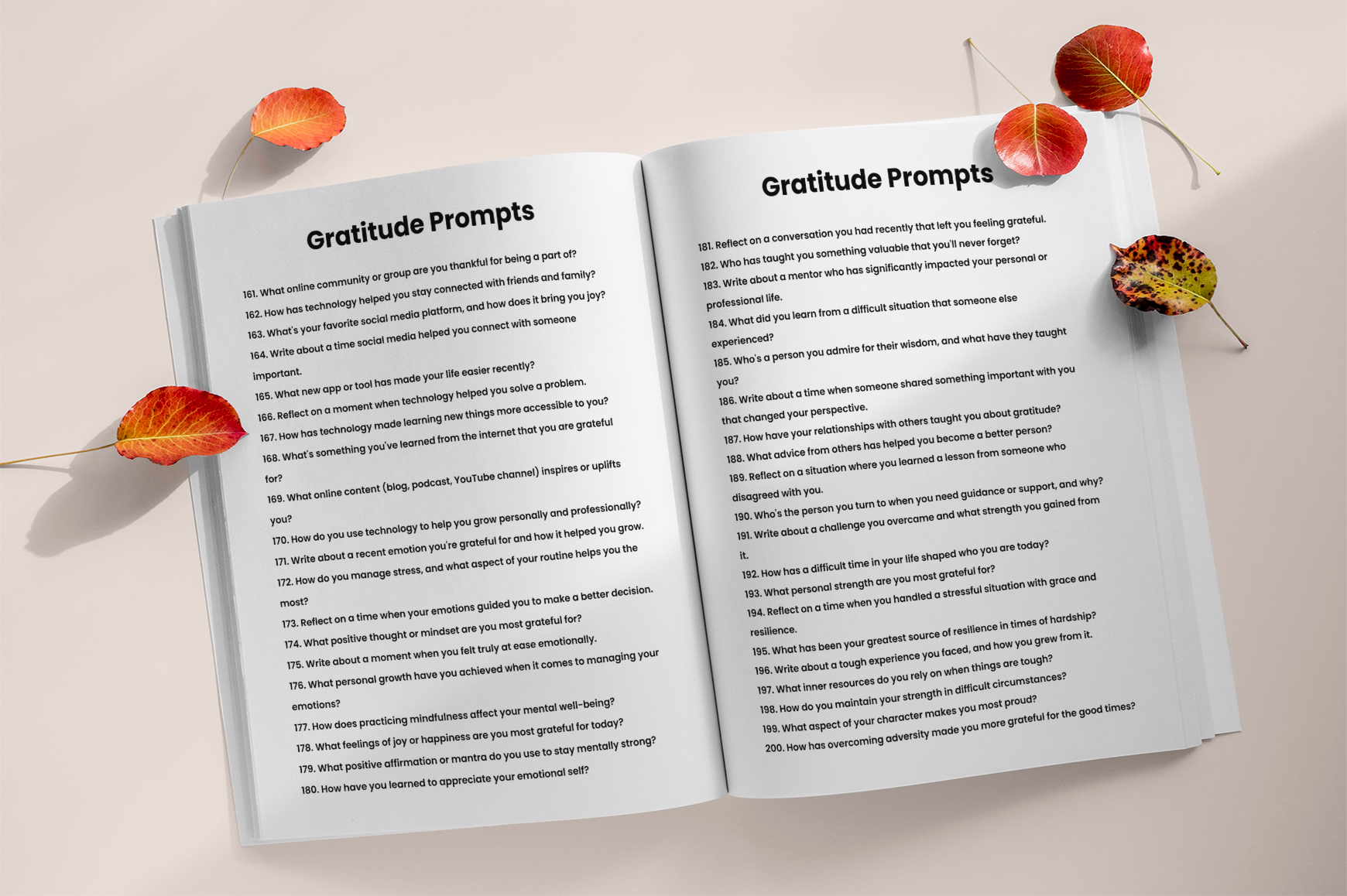 Grateful Mindset Prompts