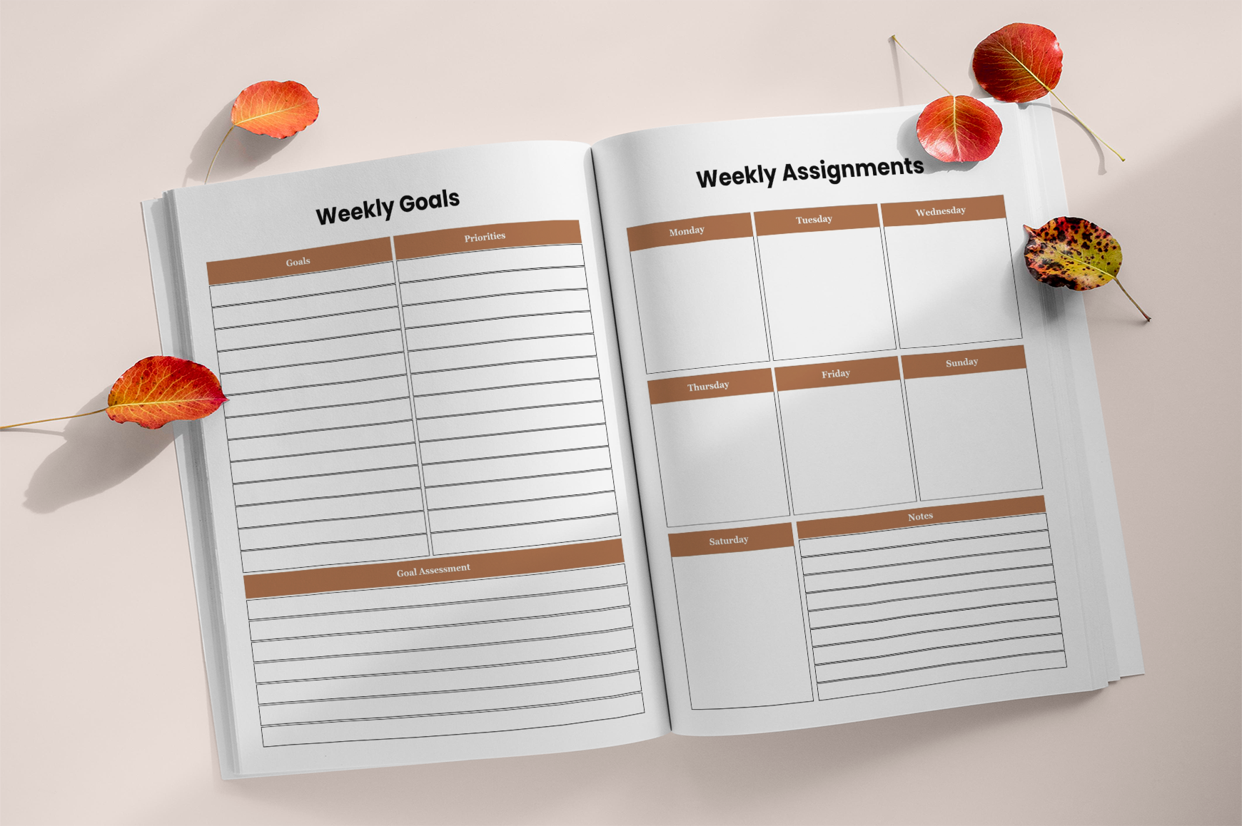 Study Mastery Method Journal