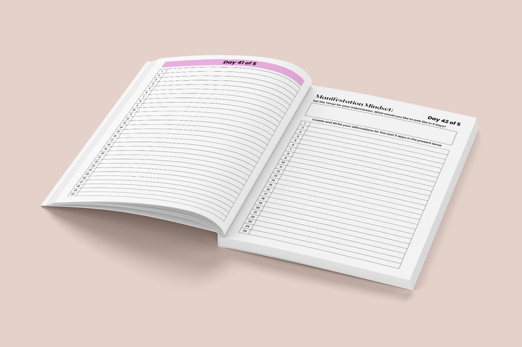 Manifestation Practice Journal
