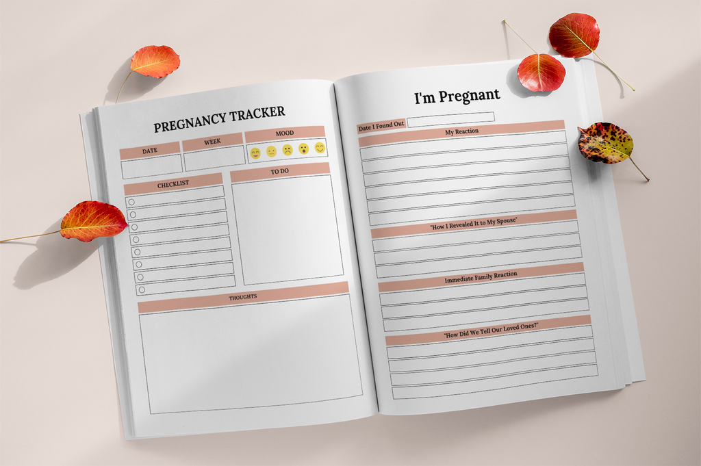 The Nine Months Pregnancy Journal