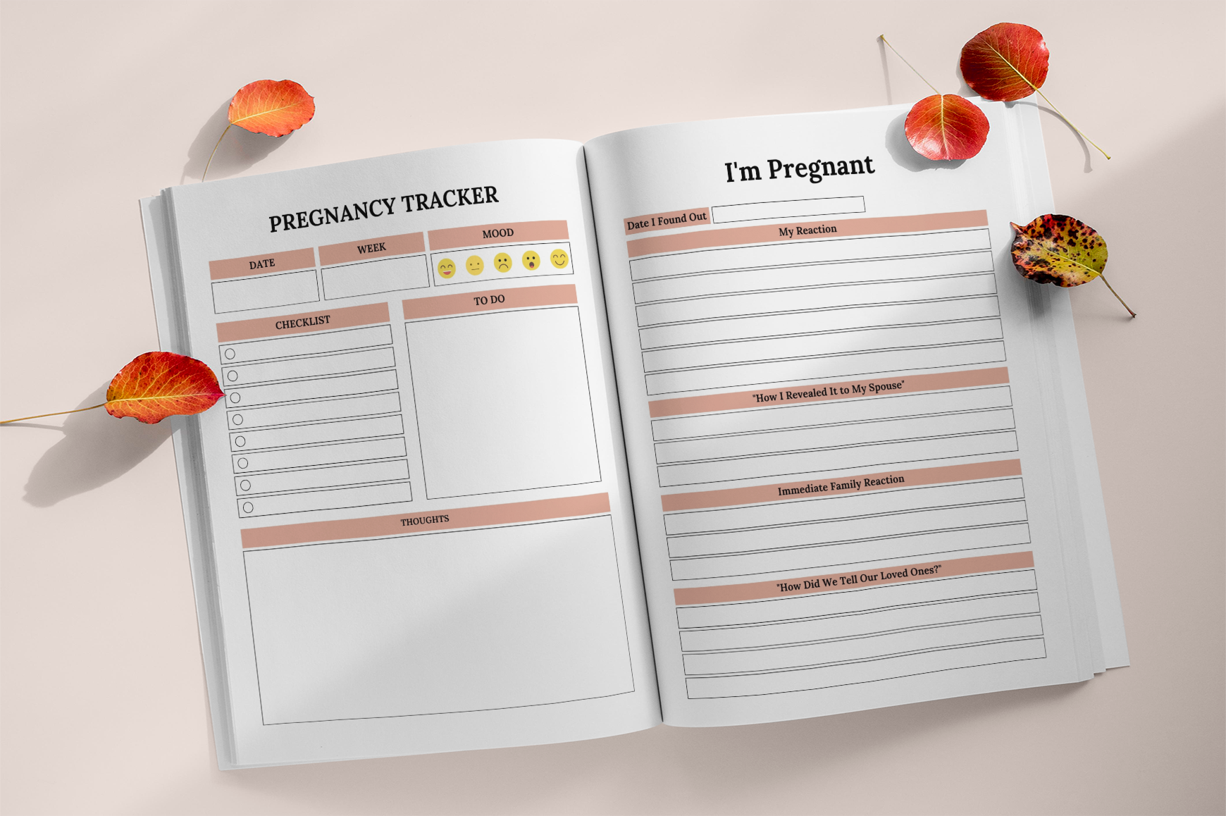 The Nine Months Pregnancy Journal