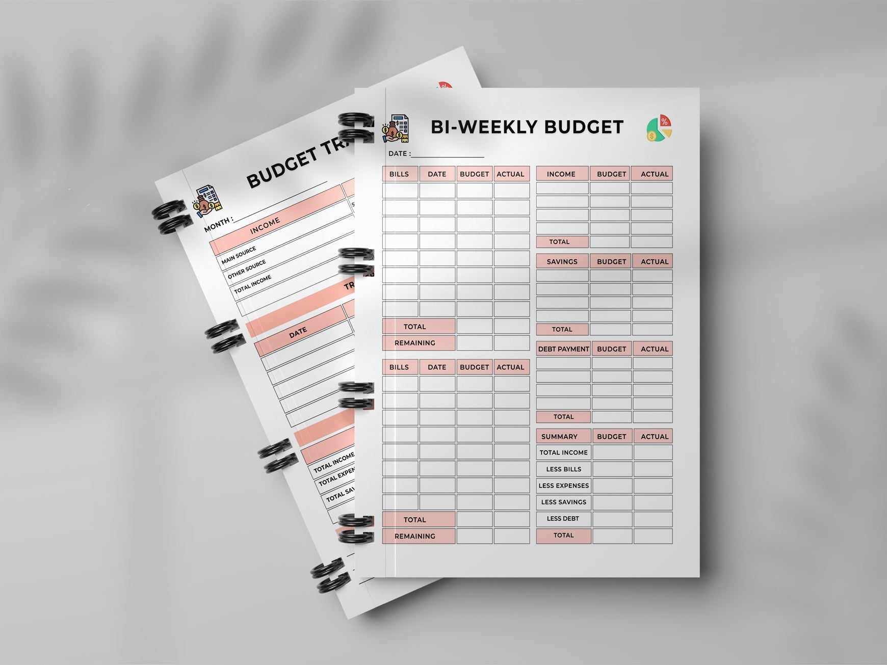 Financial Budget Planner