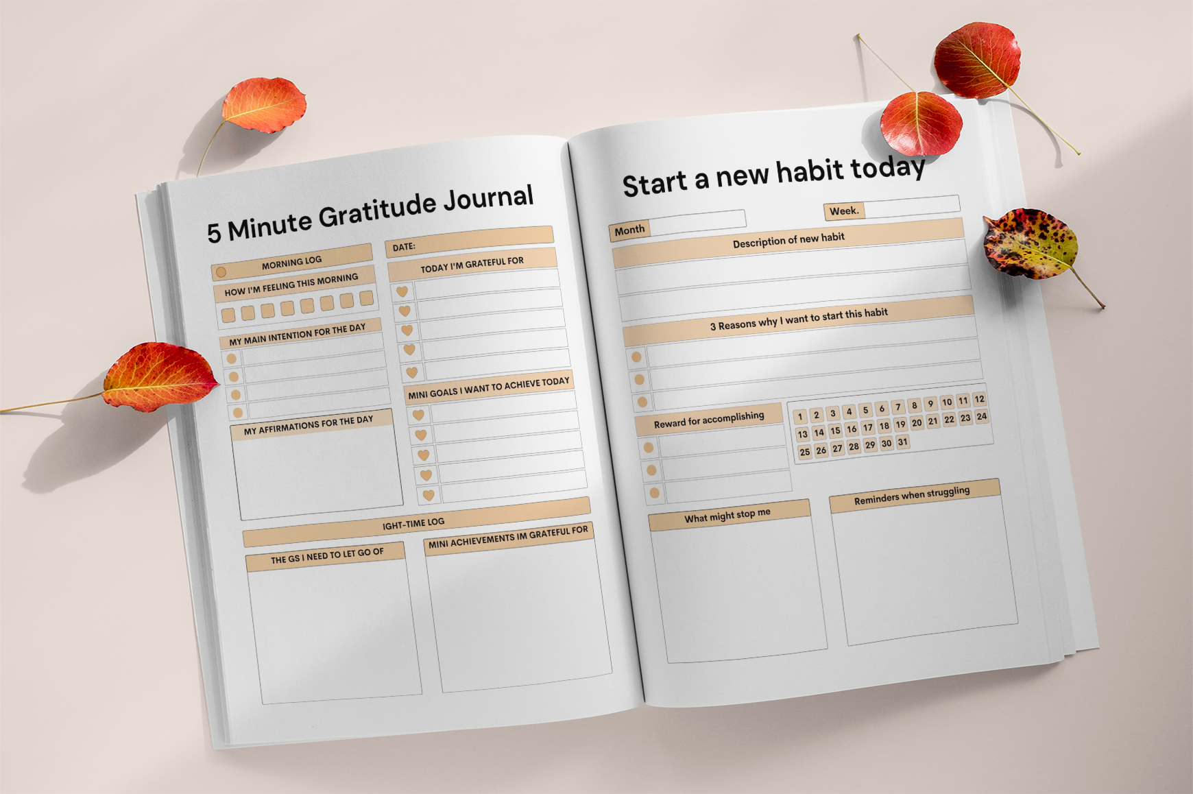 Daily Manifesting Success Journal