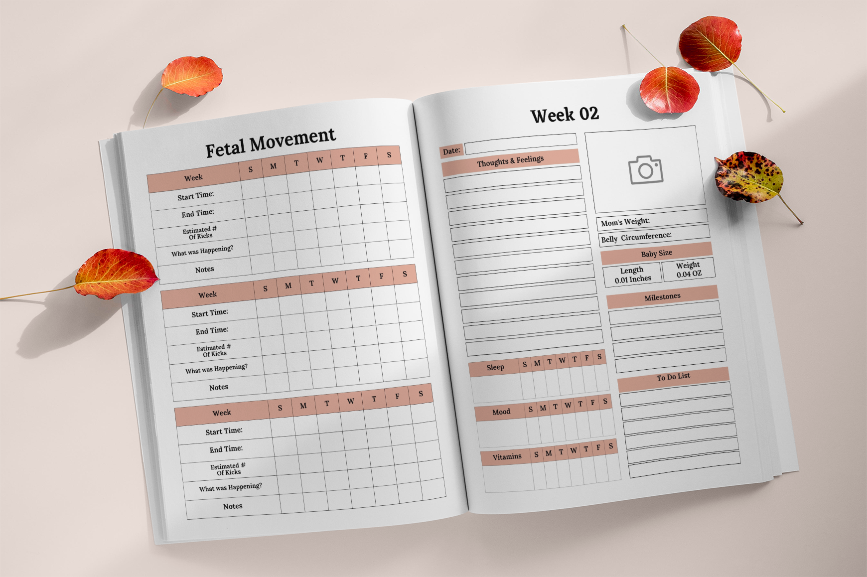 The Nine Months Pregnancy Journal