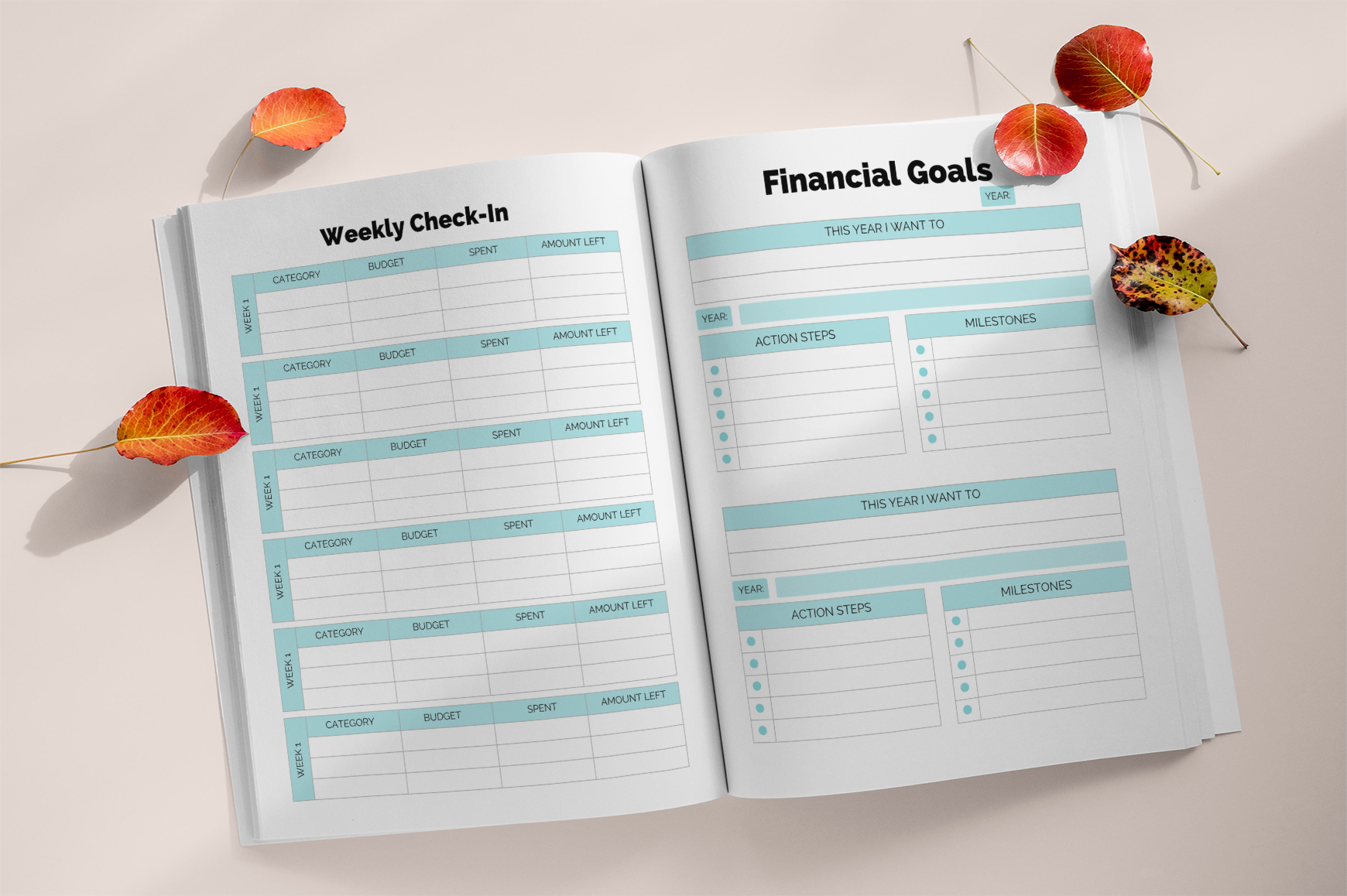 Financial Freedom Goal Savings Planner