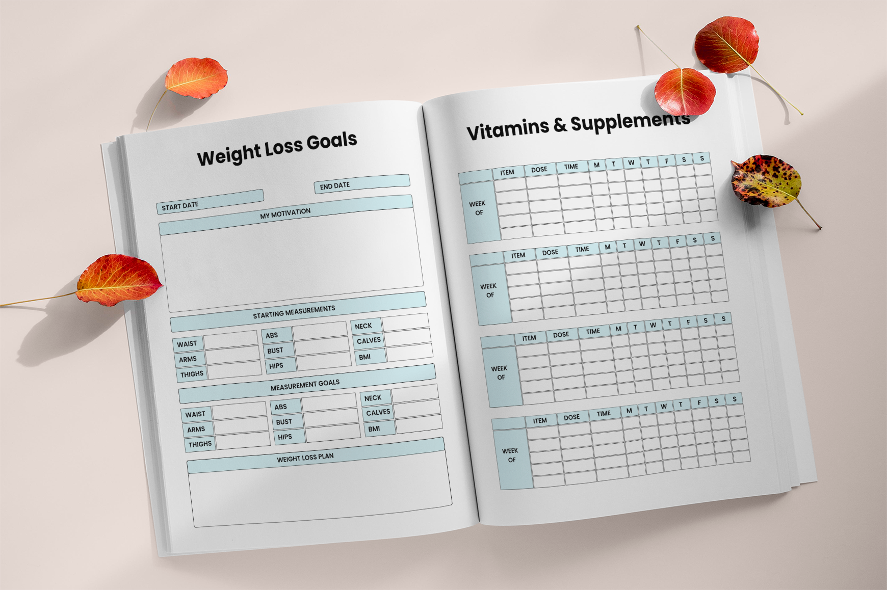 Body Transformation Workbook