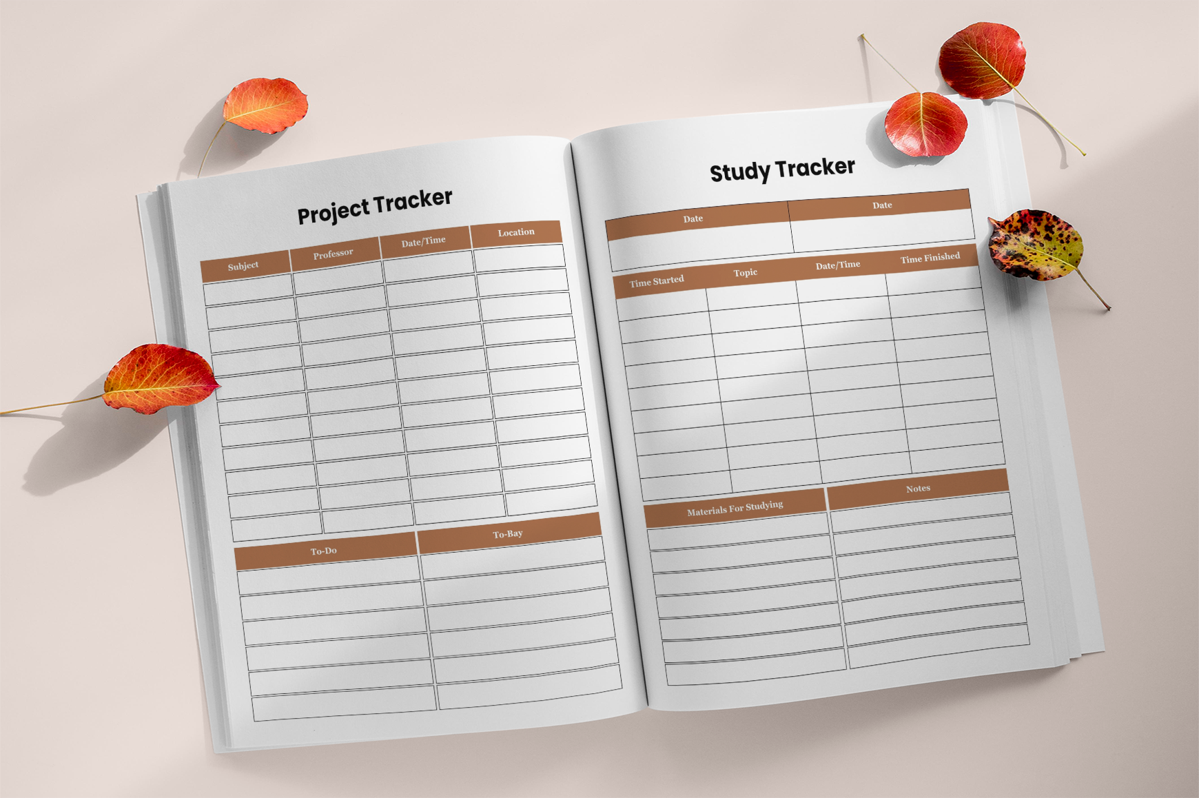 Study Mastery Method Journal