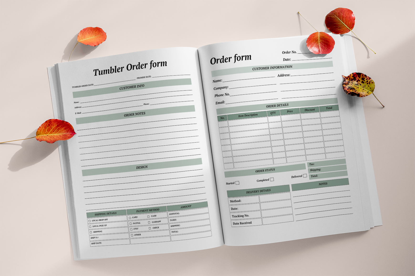 Financial Freedom Debt Payoff Planner