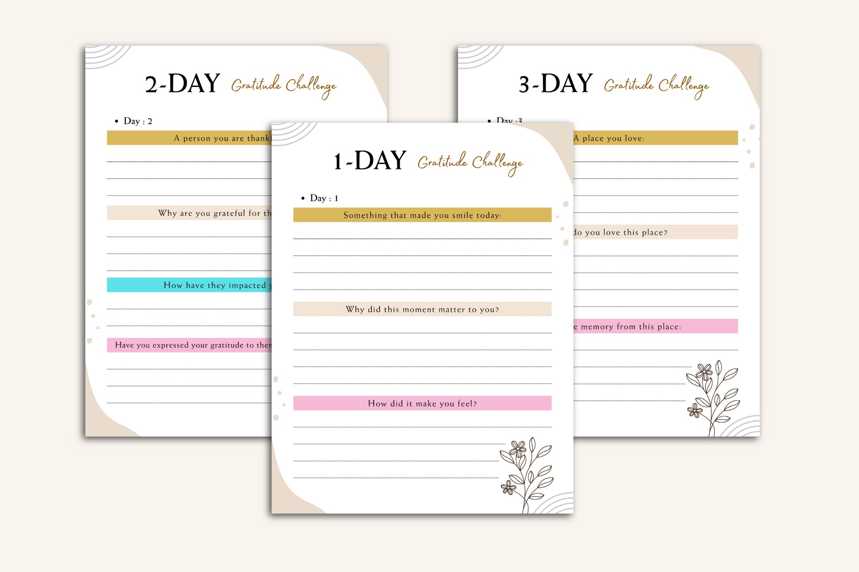 My First Gratitude Journal