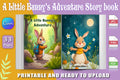 Little Bunny's Adventure Book