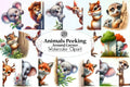 Animals Peeking Clipart Bundle