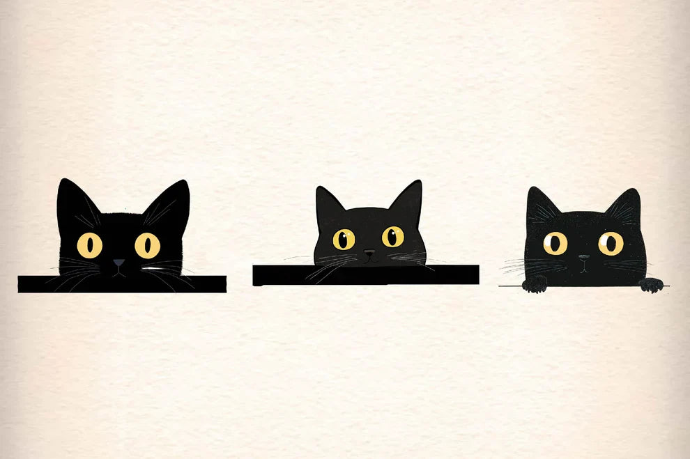 Black Cat Peeking Graphics Clipart Bundle