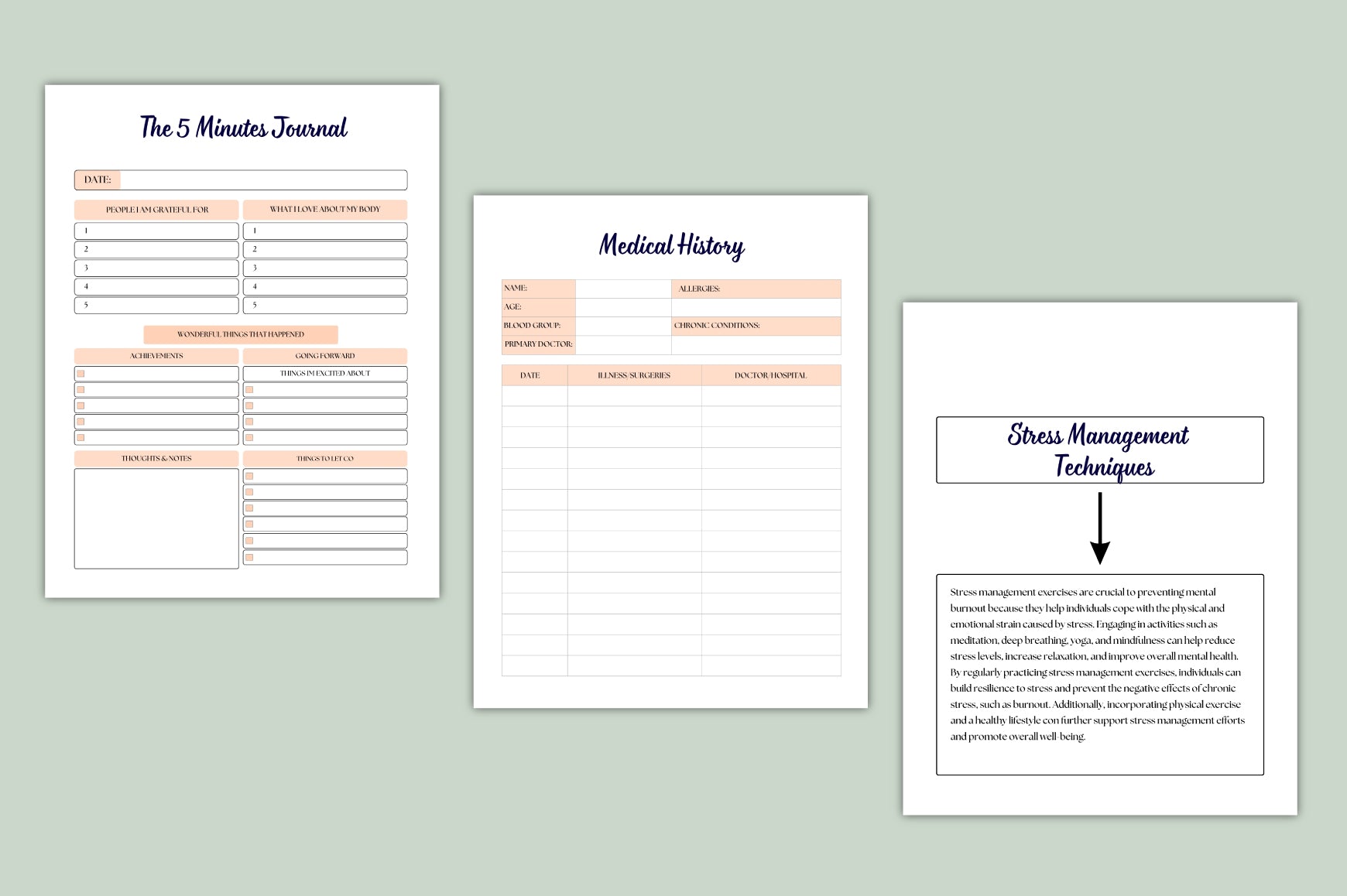 Reset Rise Workbook