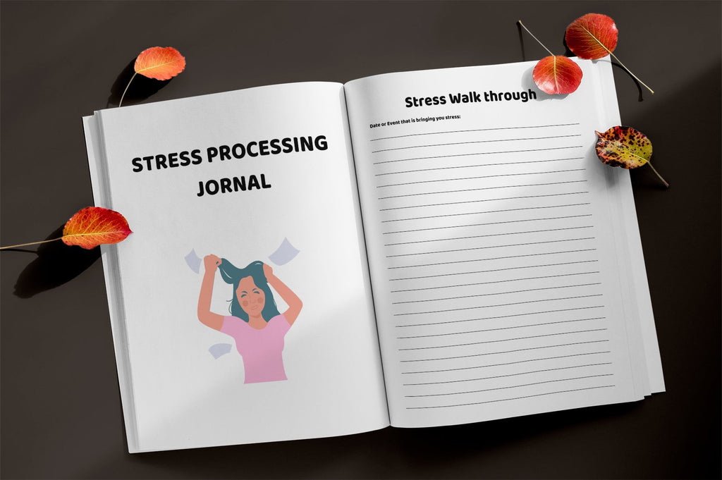 Stress Processing Journal