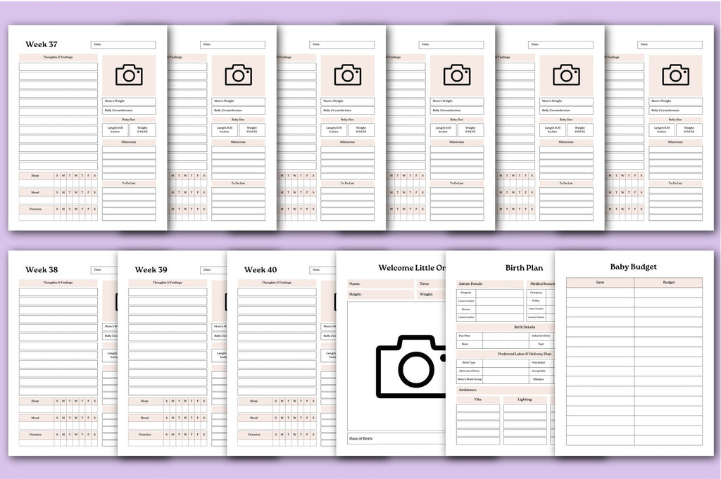 Pregnancy Journal: A Keepsake for Expecting Mothers