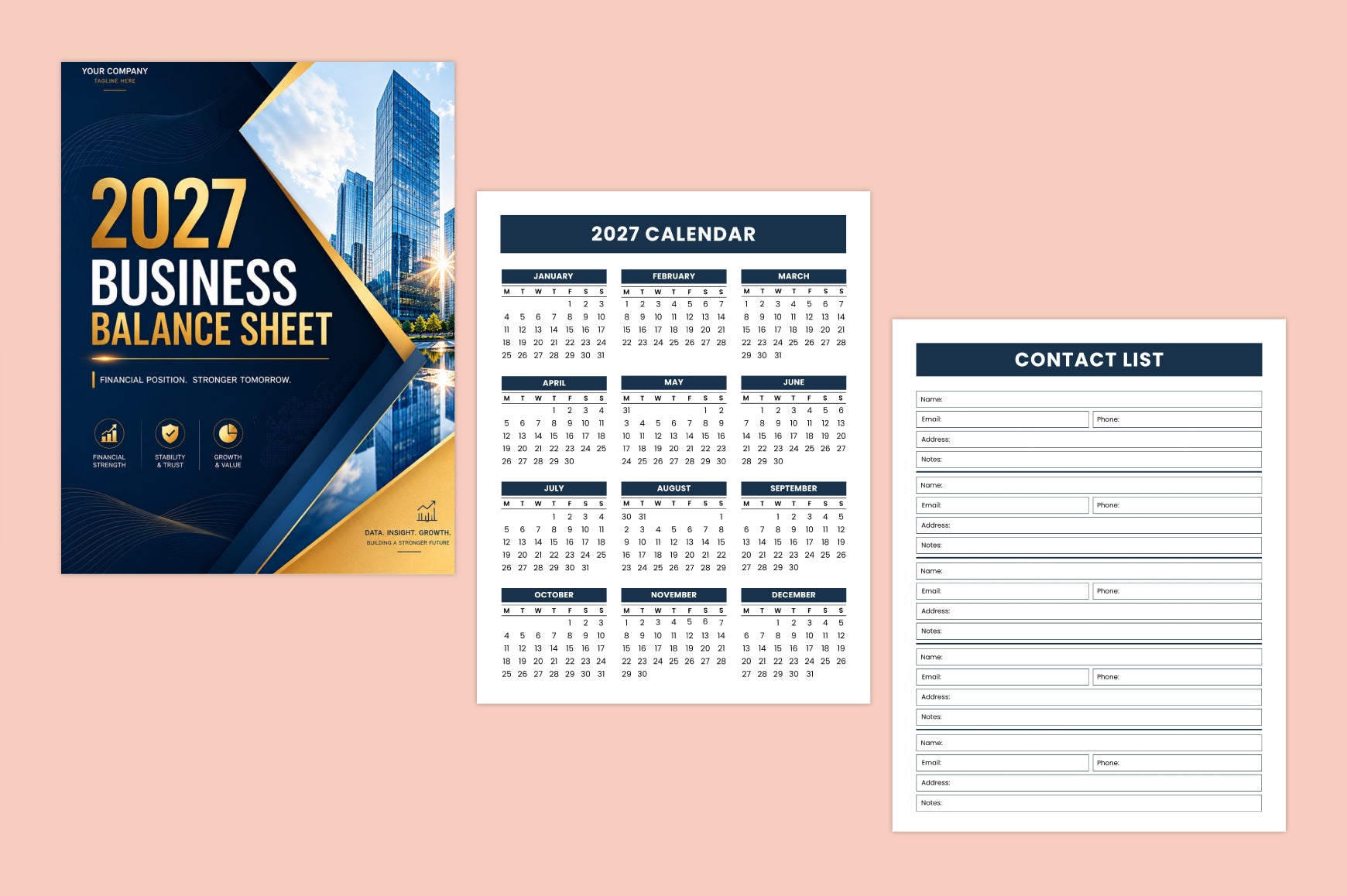 Business Balance Sheet