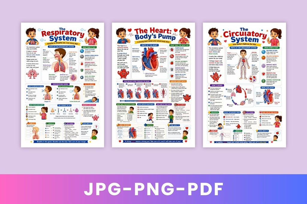 Human Body Adventure For Kids