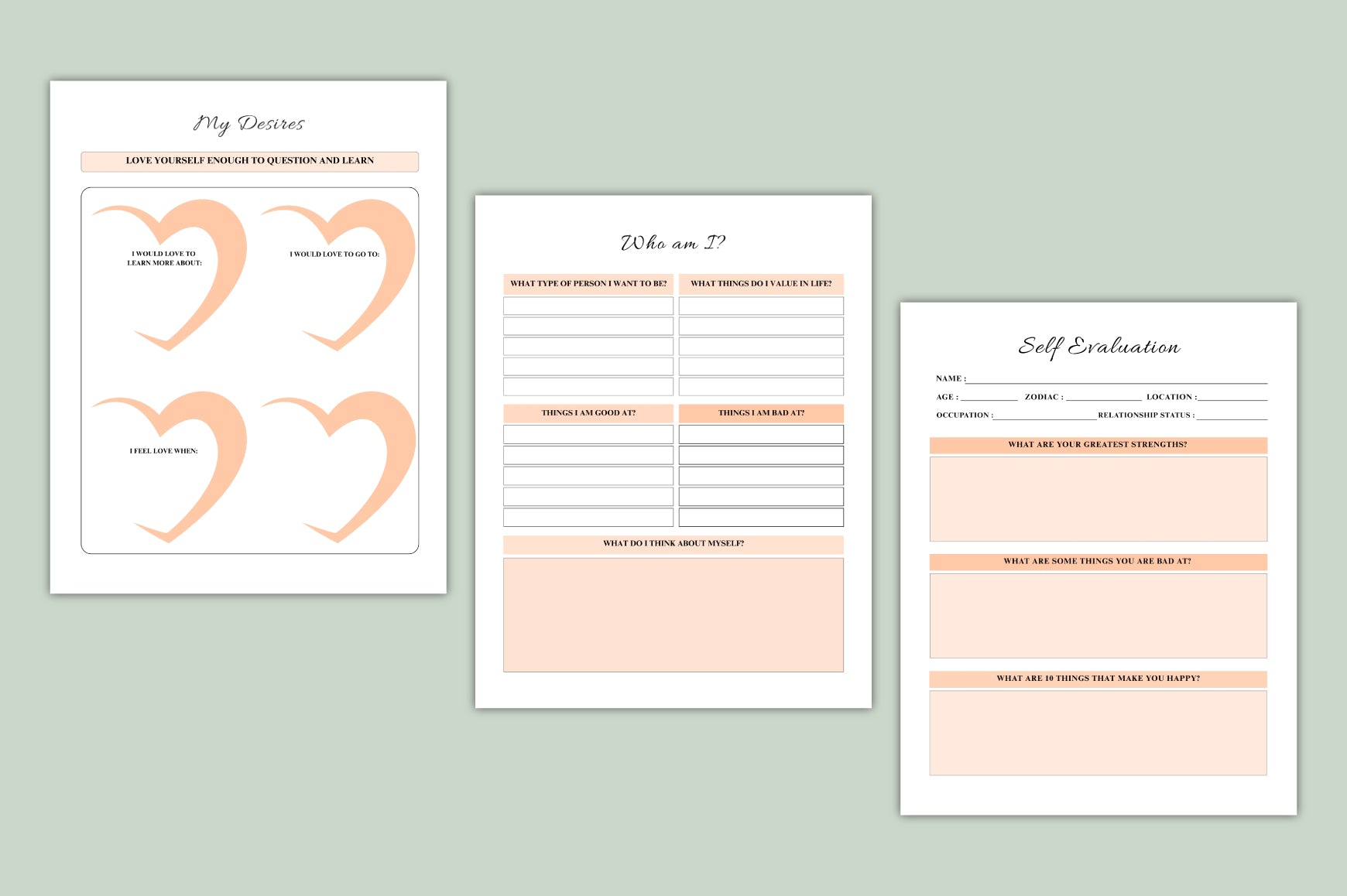 Self Path Discovery Journal