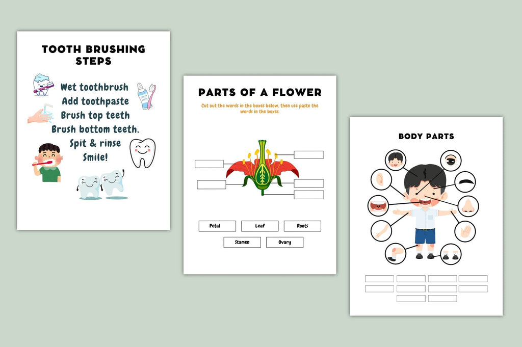 Smart Kids Learning Chart Posters Guide