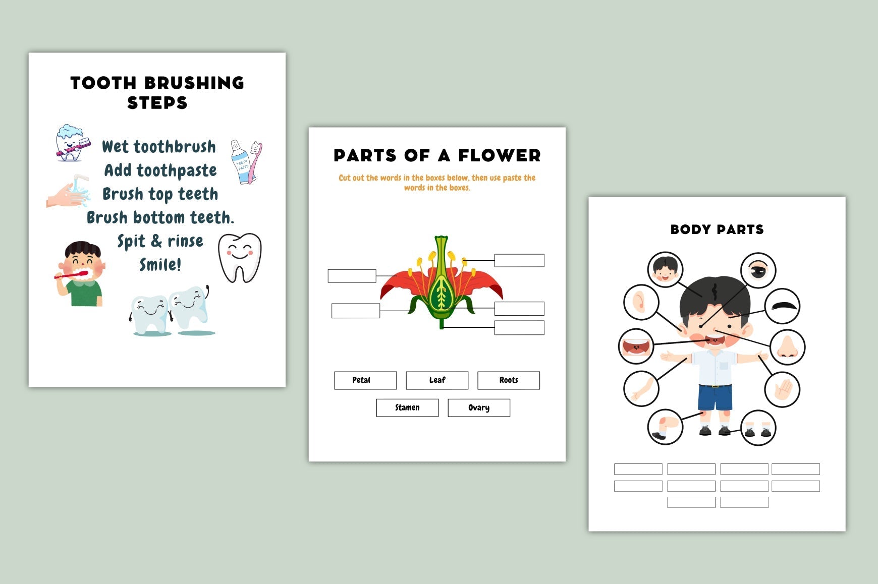Smart Kids Learning Chart Posters Guide