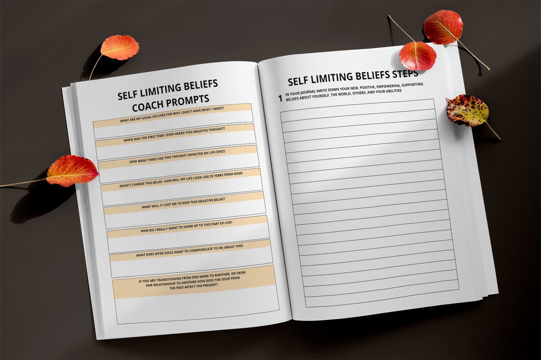 Self Limiting Beliefs Journal