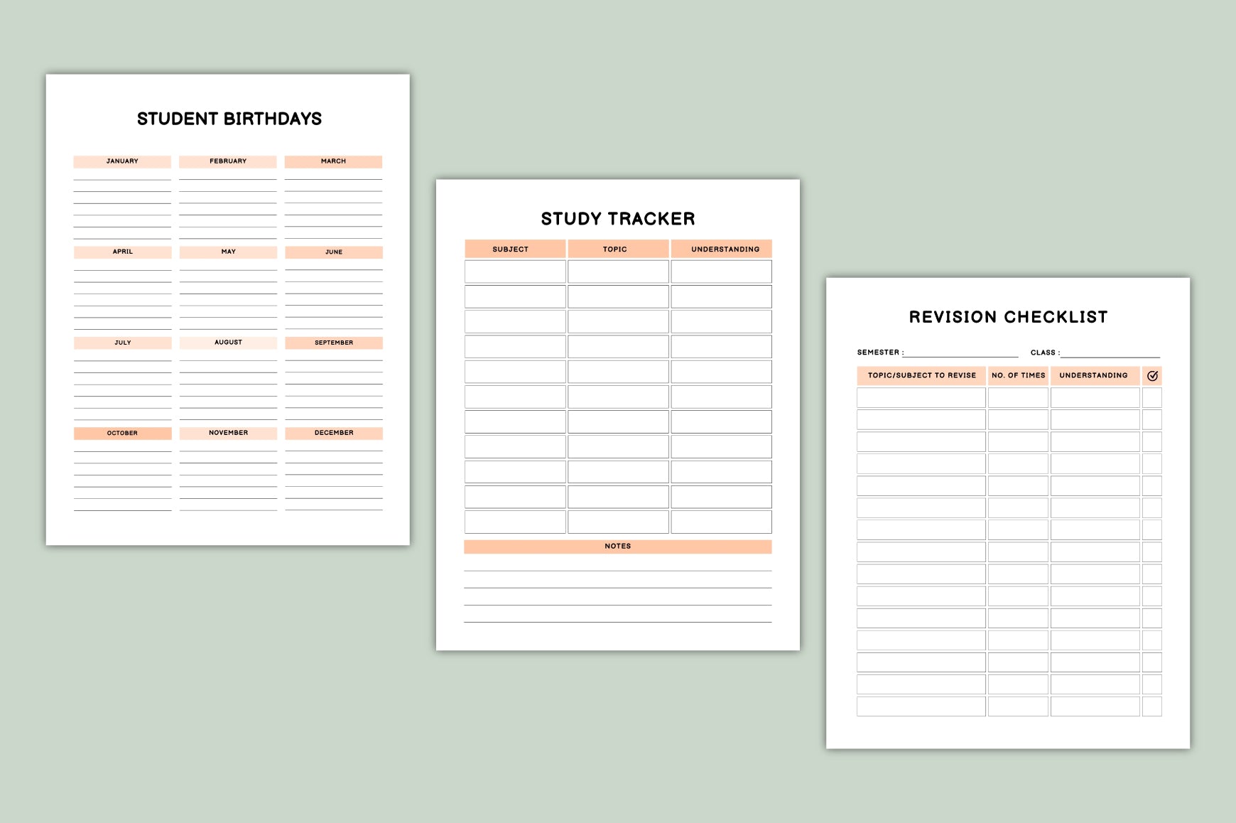 Children's School Life Planner