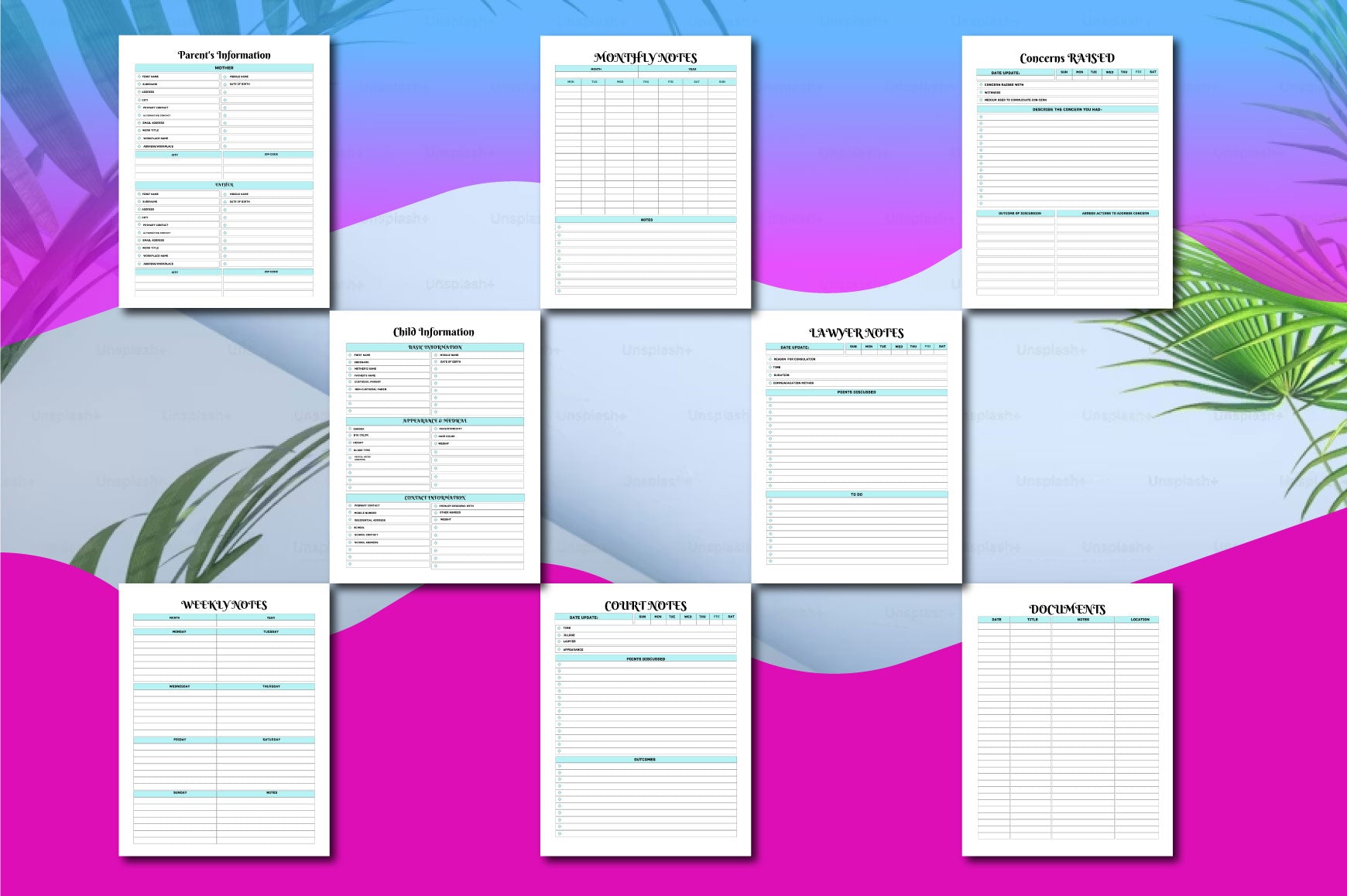 Child Custody Binder Guide