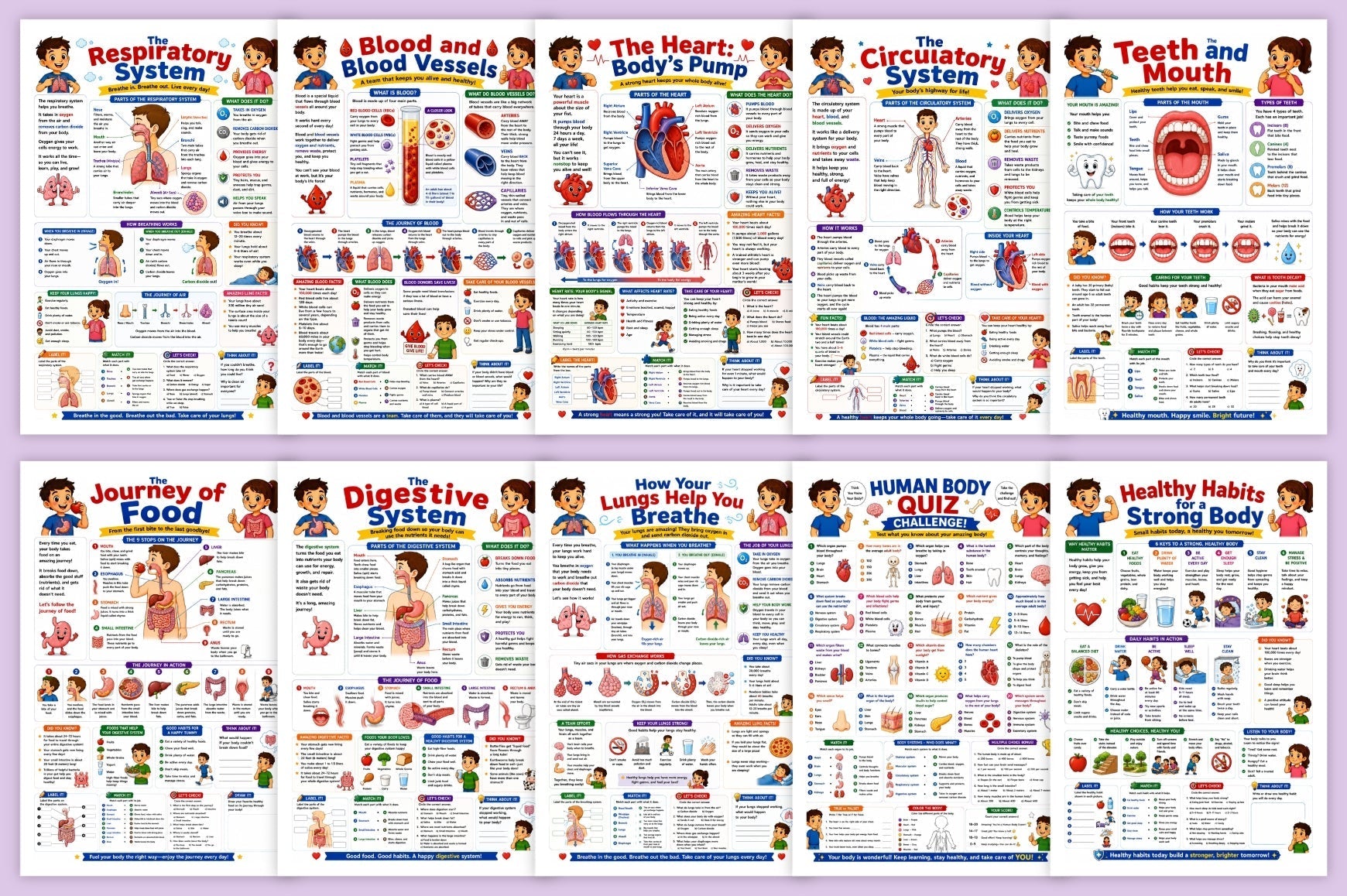 Human Body Adventure For Kids