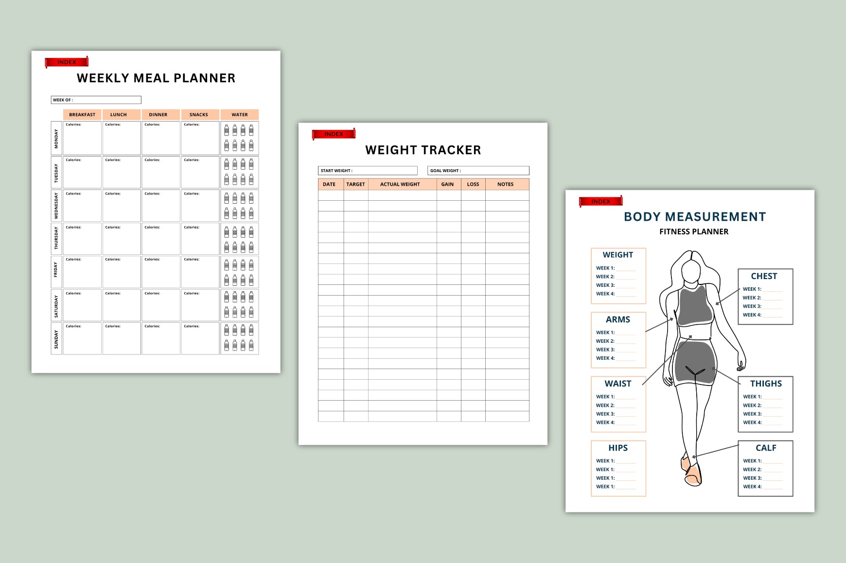 Workout Fitness Planner
