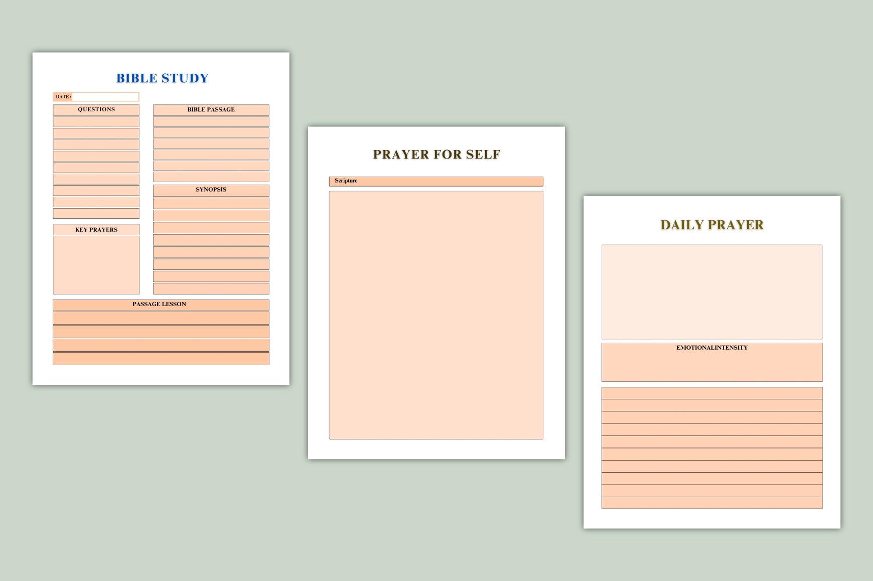 Scripture Study Journal