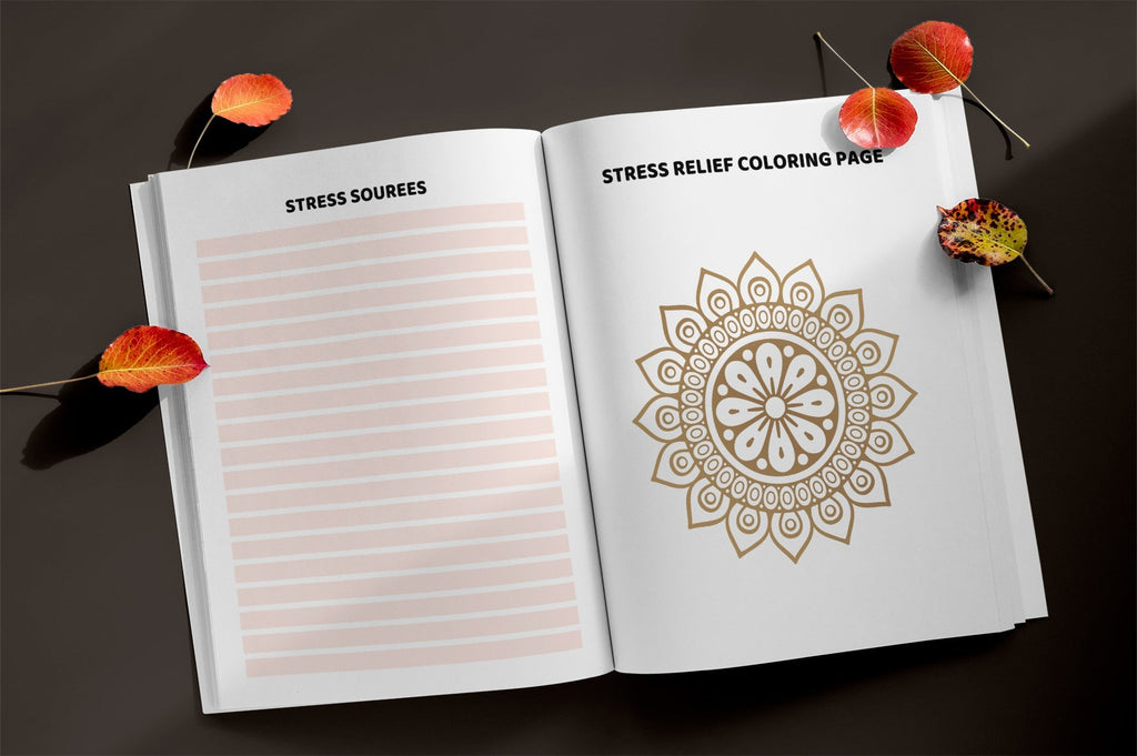 Stress Processing Journal