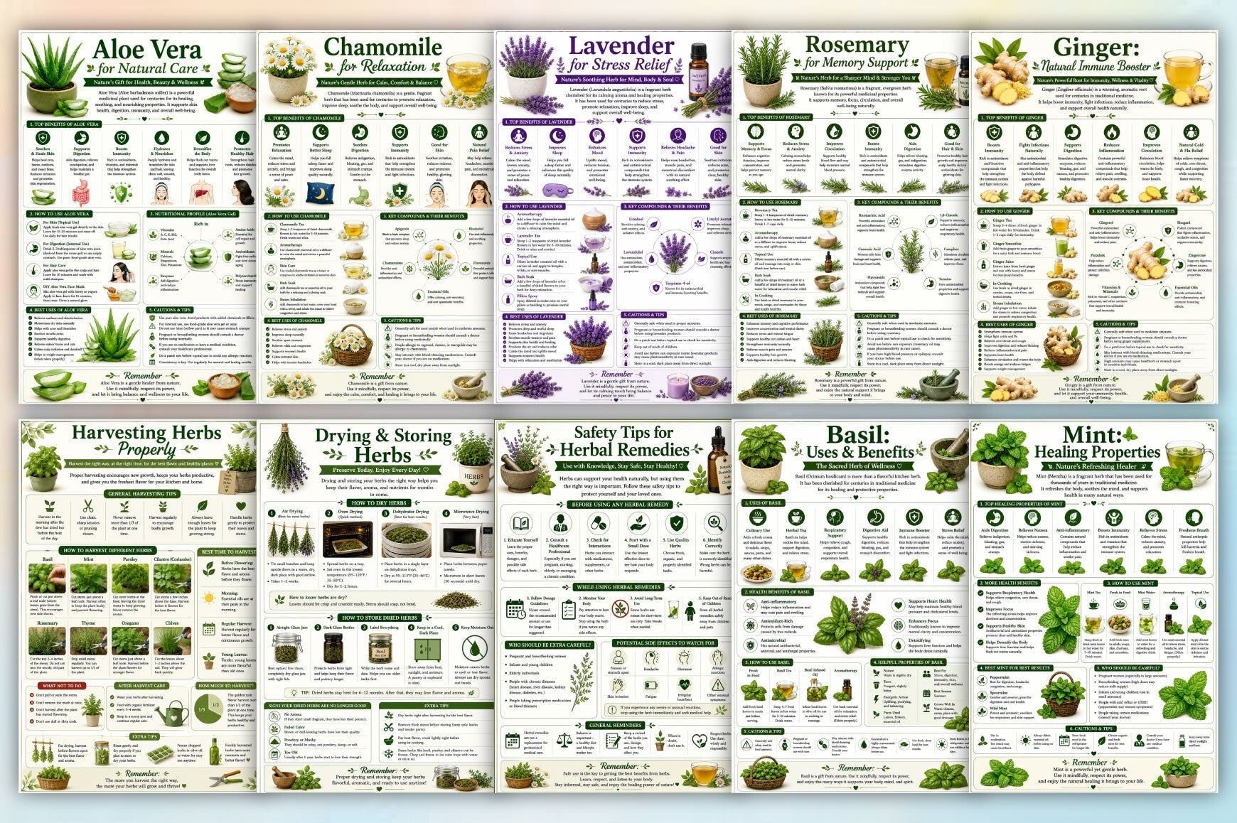 Homegrown Herbal Medicine Guide